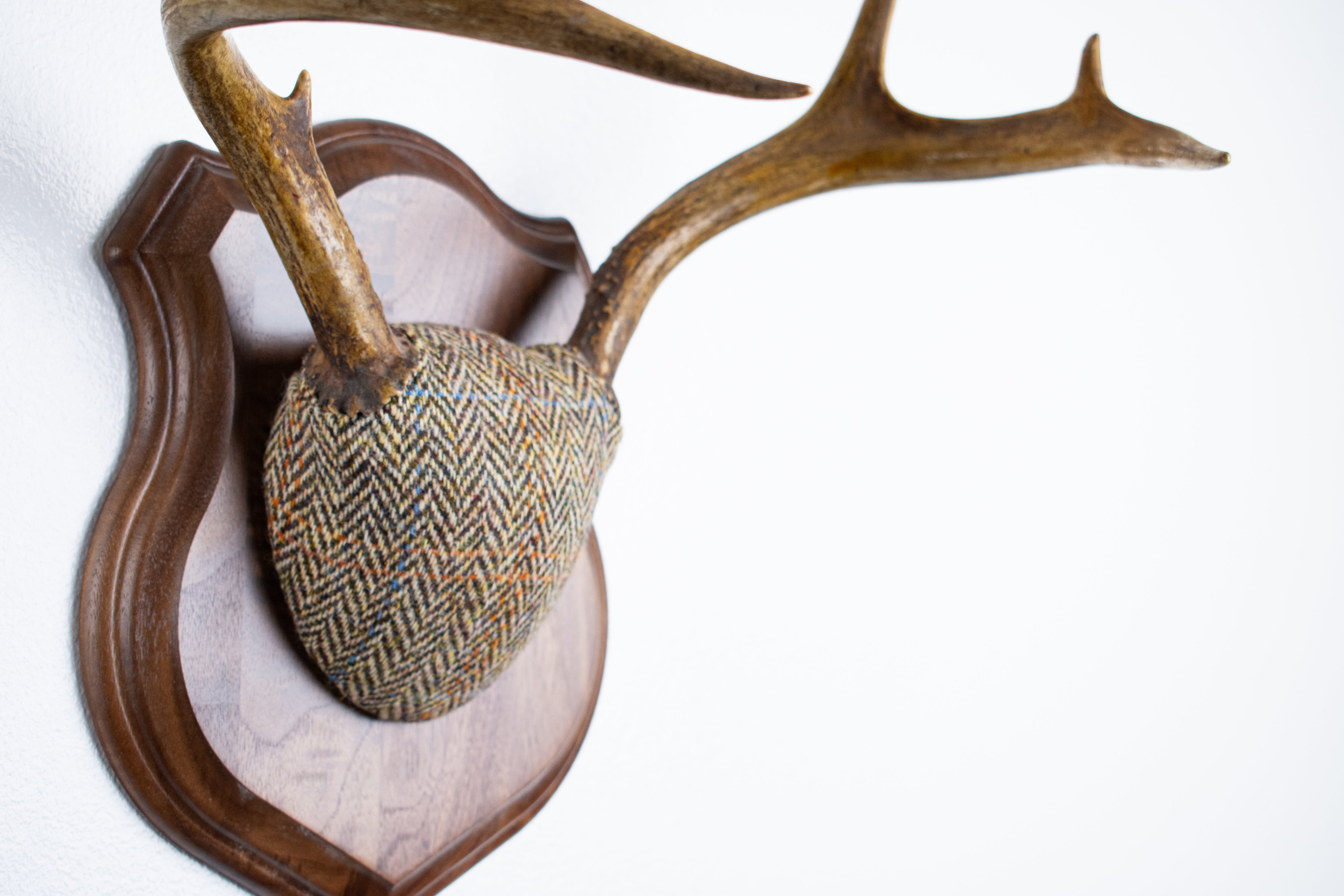 Whitetail Deer Antler Mount | Brown Herringbone | 26