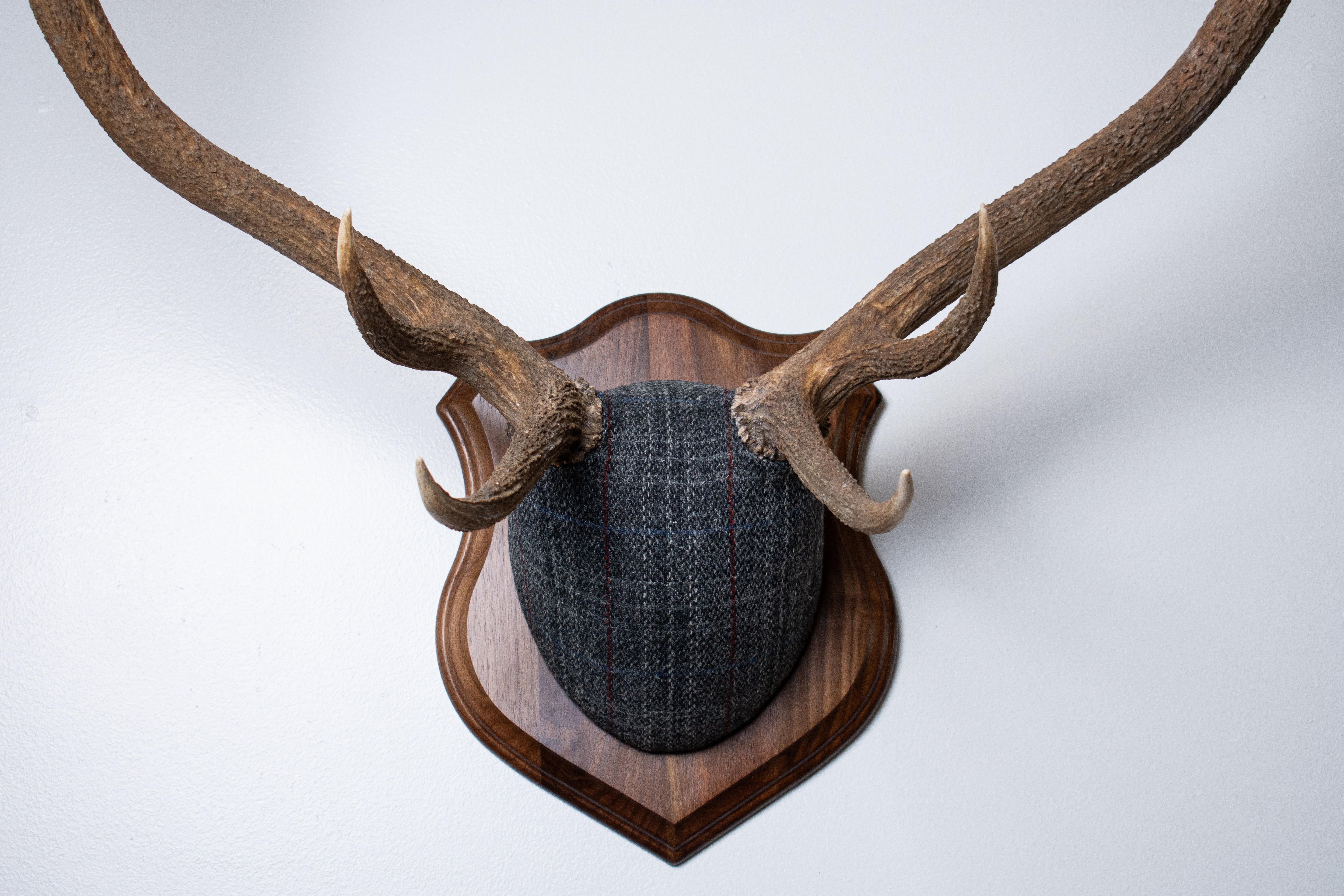 Elk Antler Mount | Grey with Red Overcheck | 22
