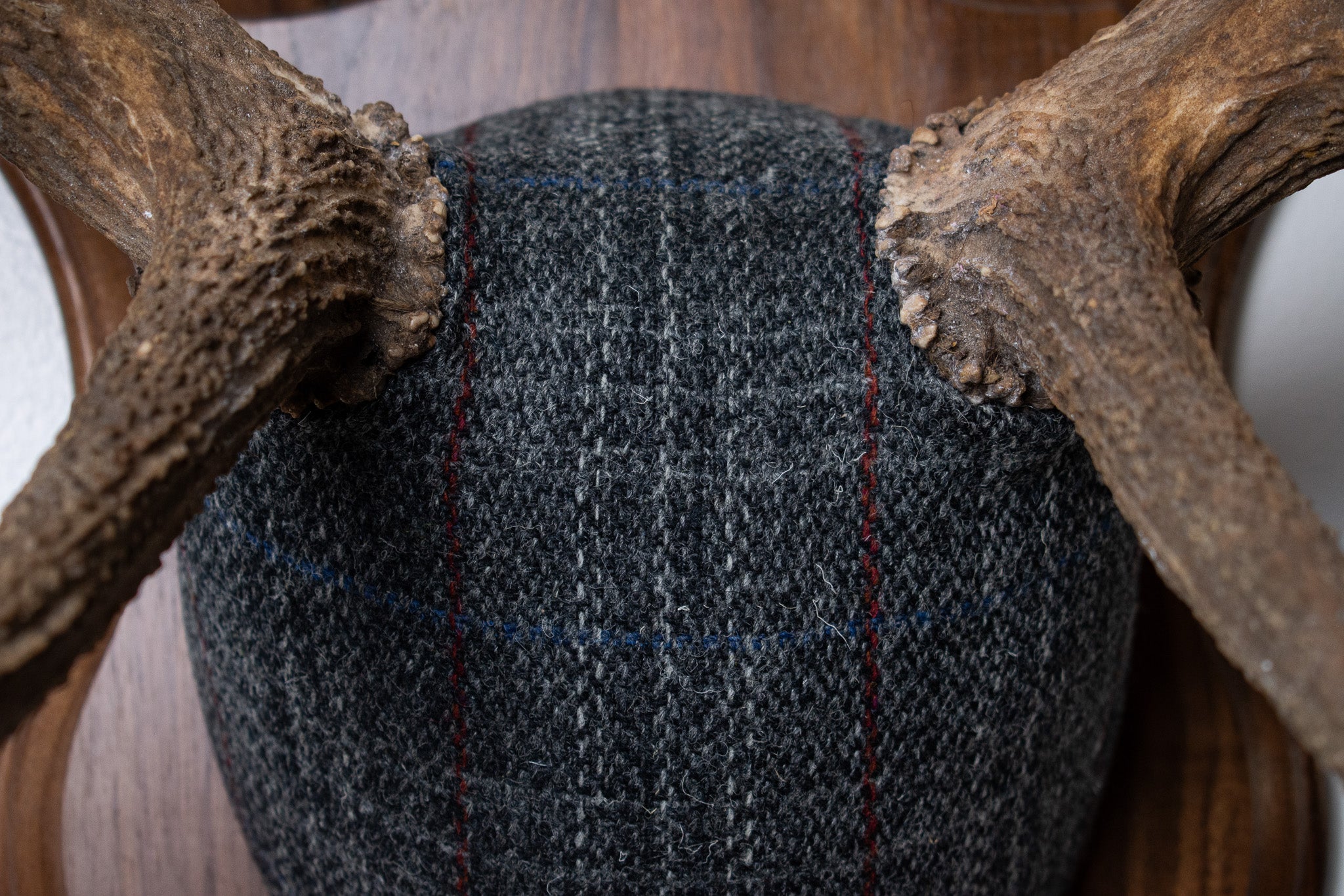 Elk Antler Mount | Grey with Red Overcheck | 22