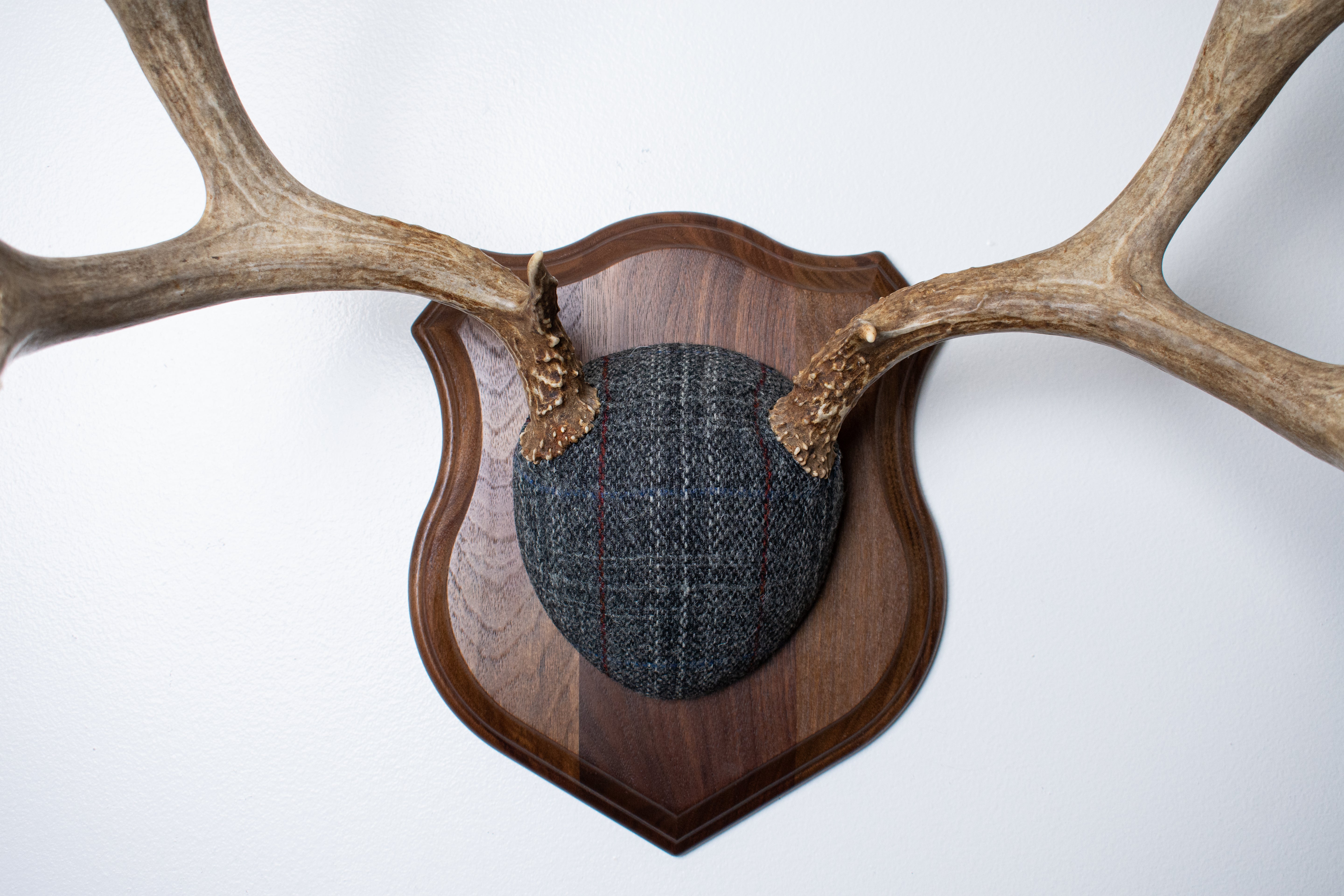 Mule Deer Antler Mount | Grey with Red Overcheck Herringbone | 24