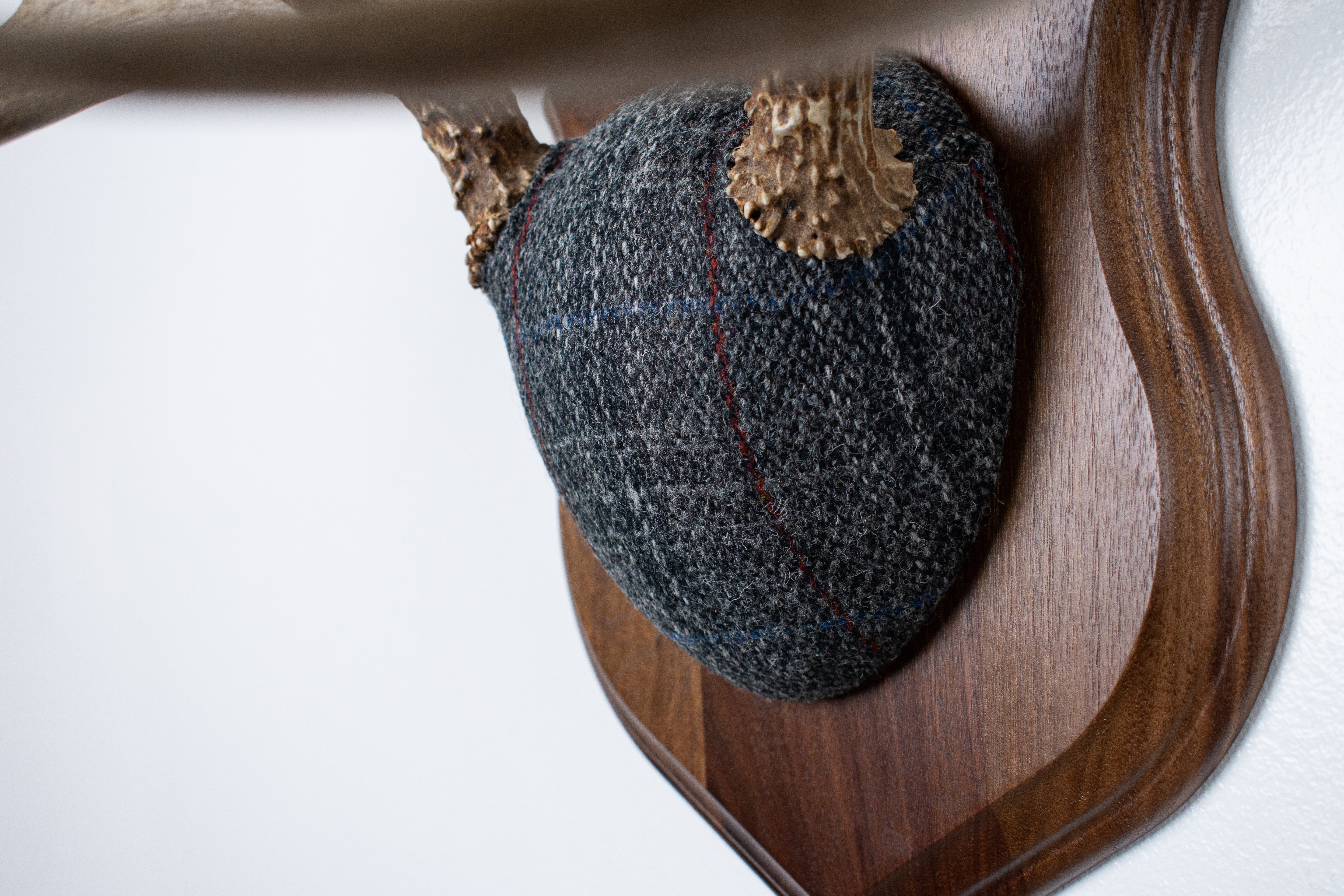 Mule Deer Antler Mount | Grey with Red Overcheck Herringbone | 24