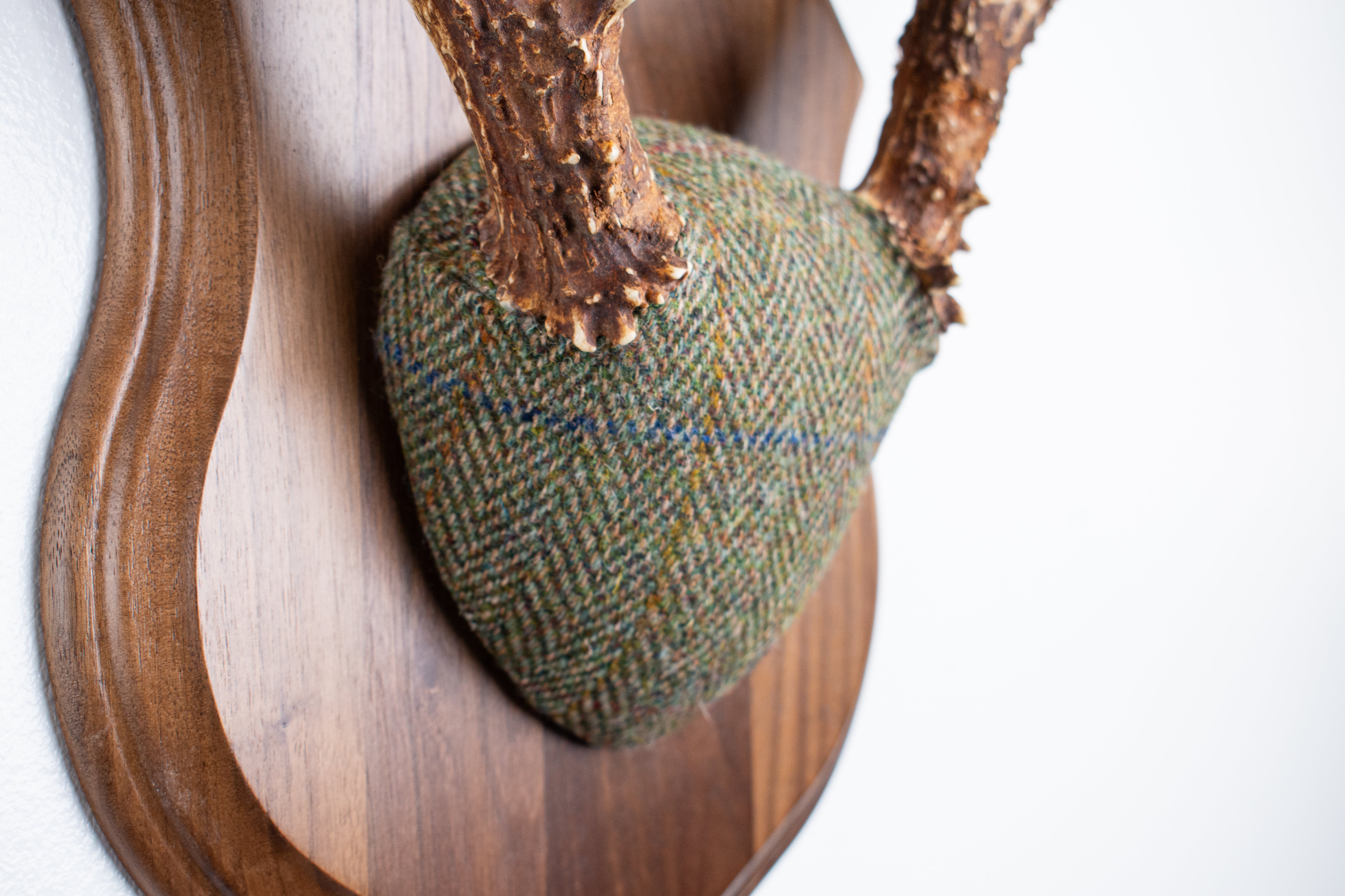 Whitetail Deer Antler Mount | Green Herringbone | 23