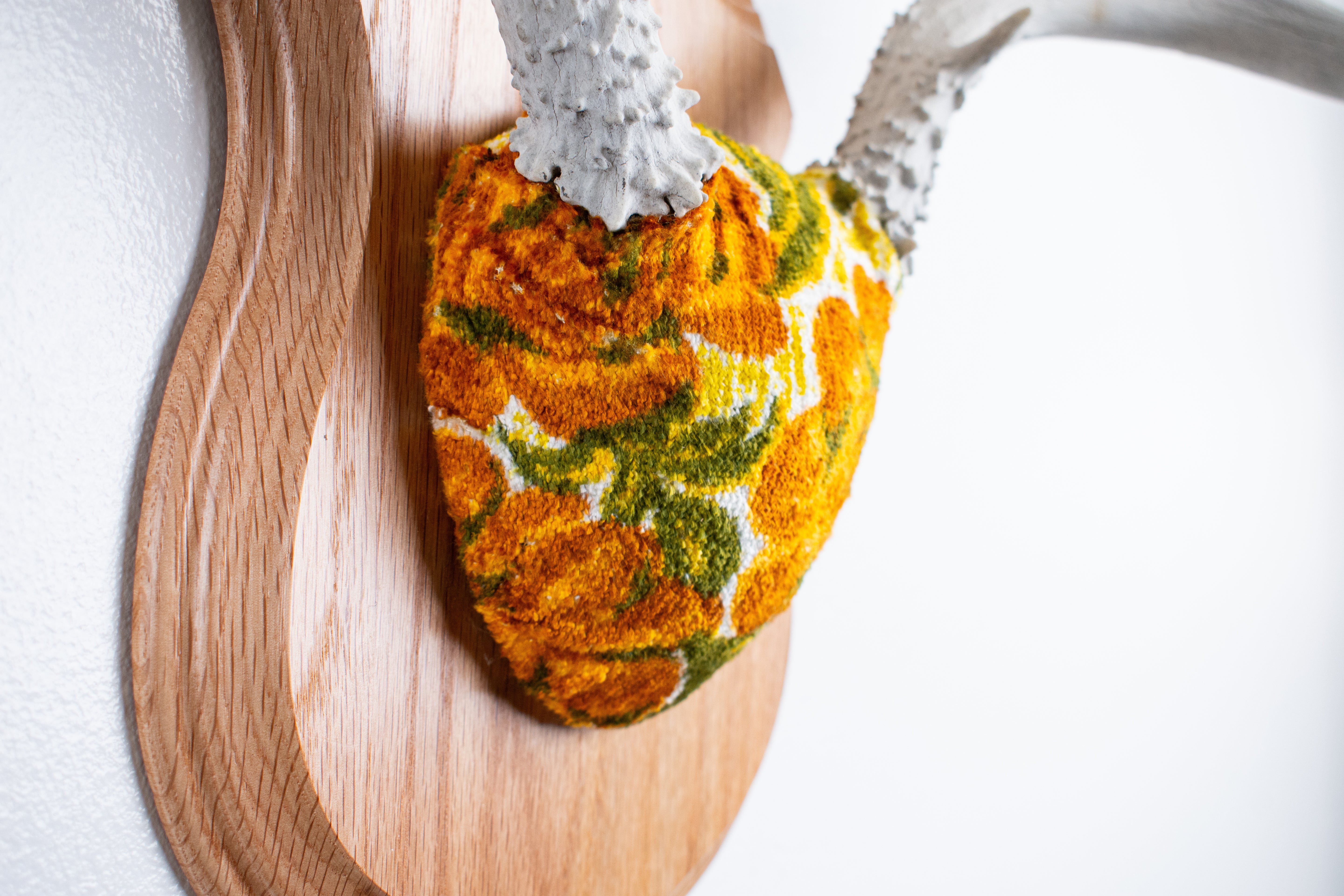 Mule Deer Antler Mount | Golden Marigold | 13