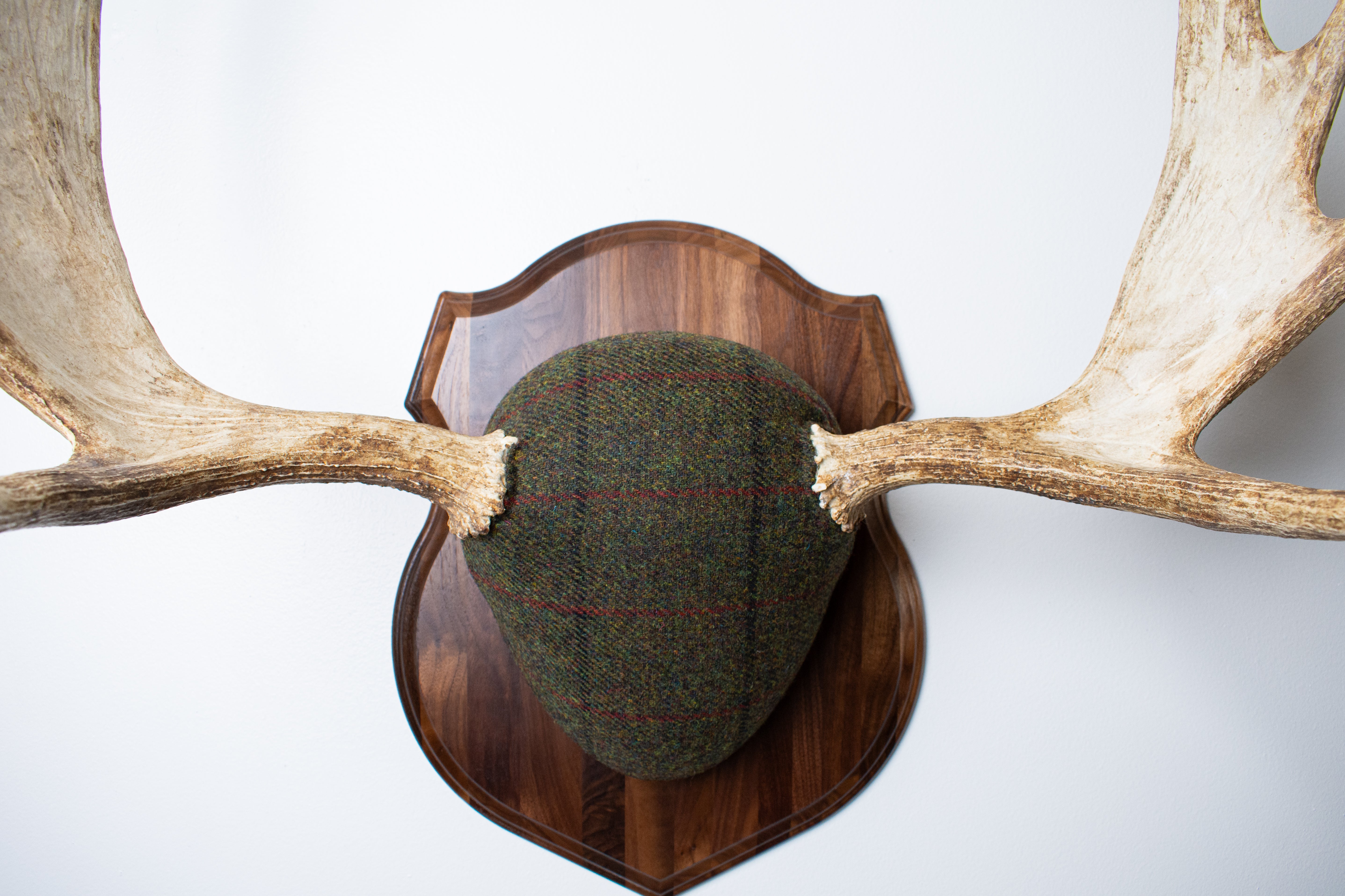 Moose Antler Mount | Green with Black and Red Overcheck | 25