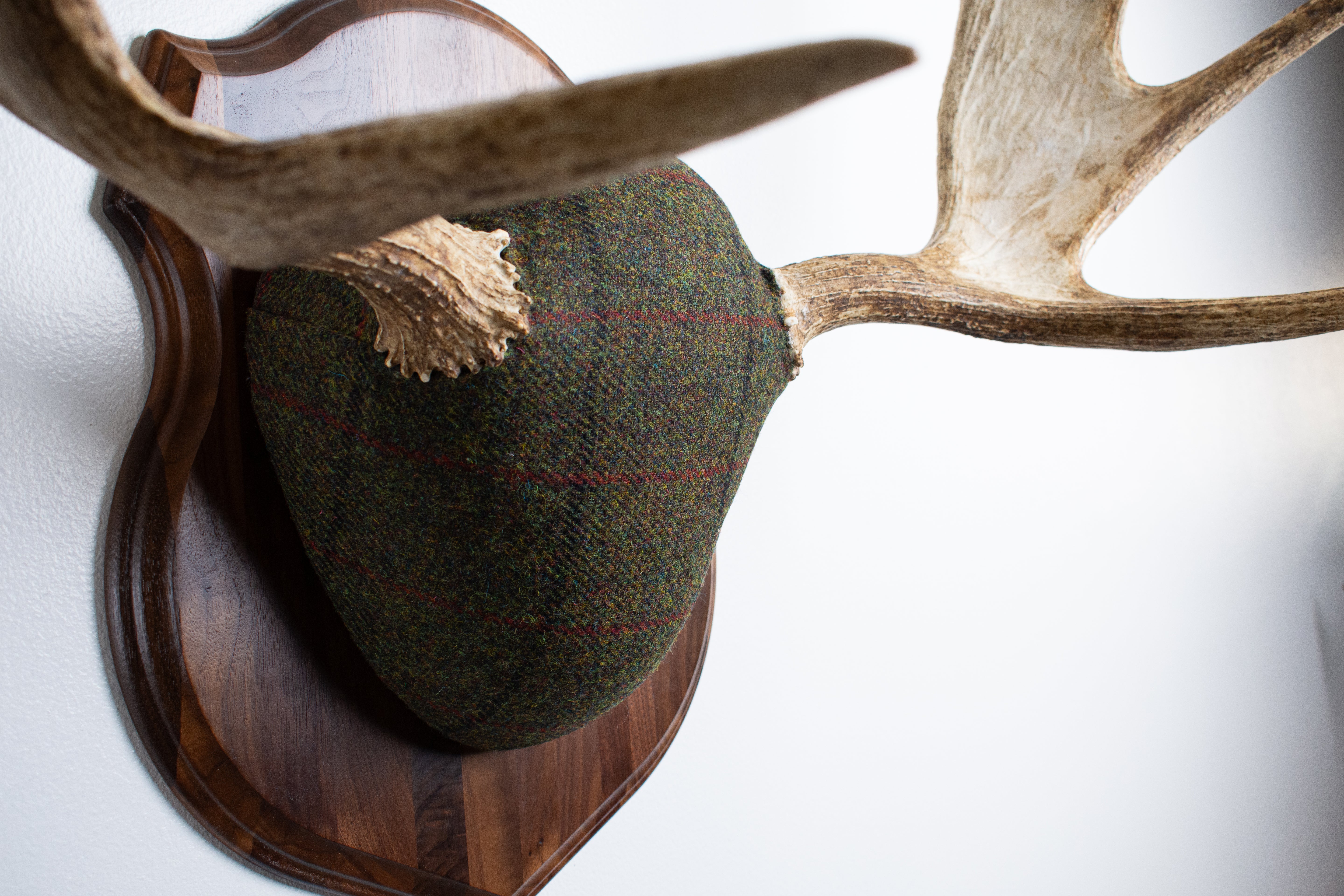Moose Antler Mount | Green with Black and Red Overcheck | 25