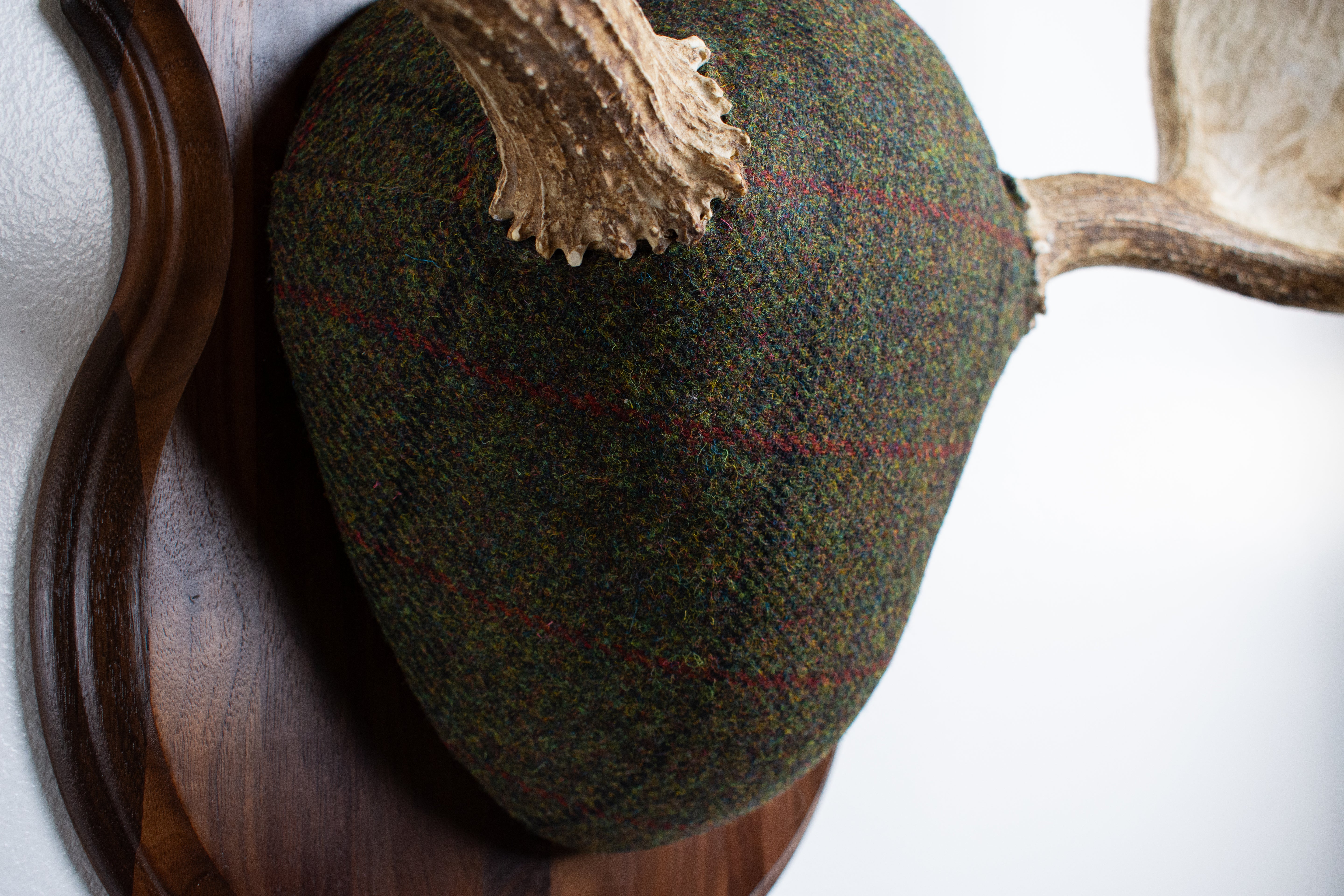 Moose Antler Mount | Green with Black and Red Overcheck | 25