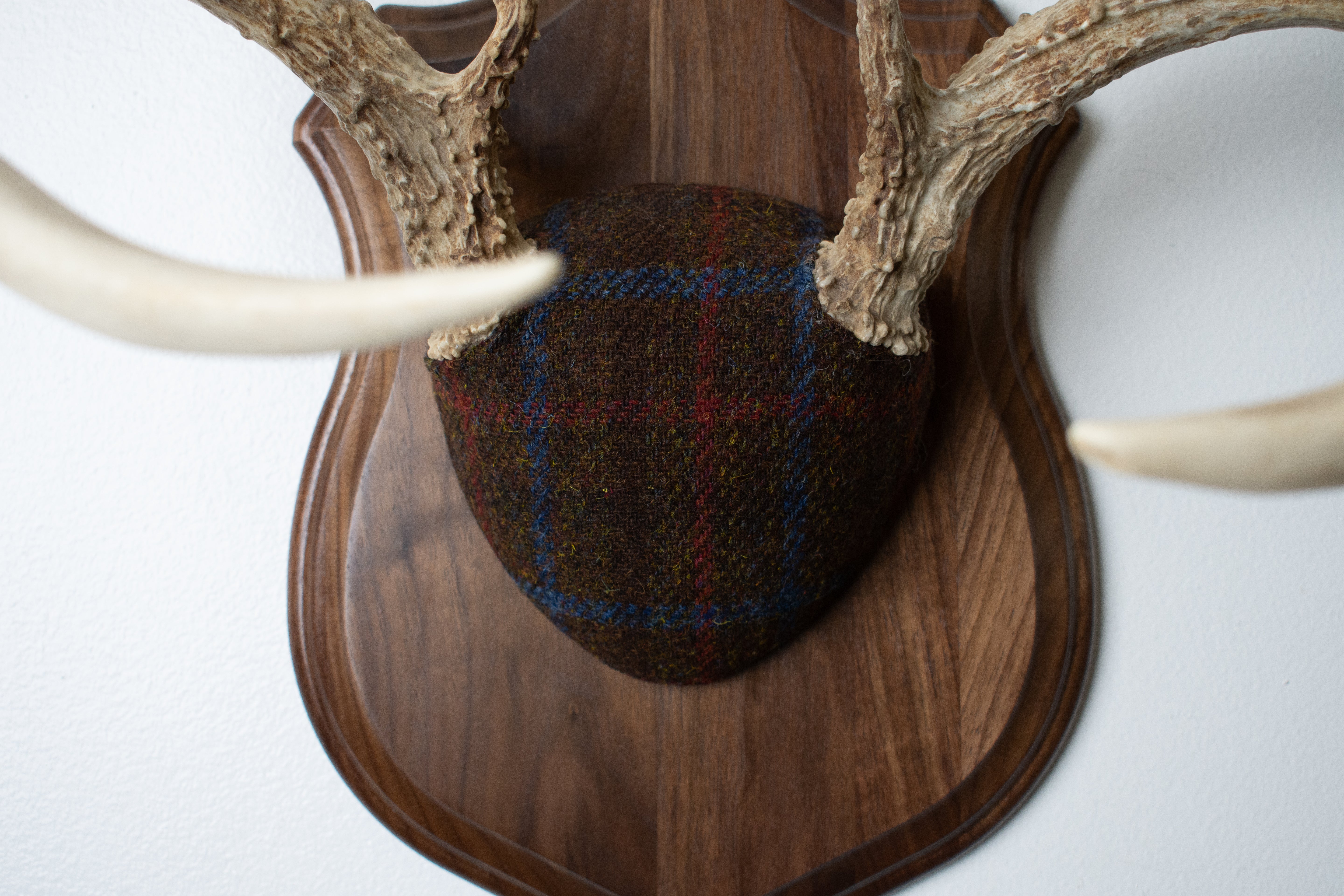 Whitetail Deer Antler Mount | Brown with Red and Blue Overcheck | 28