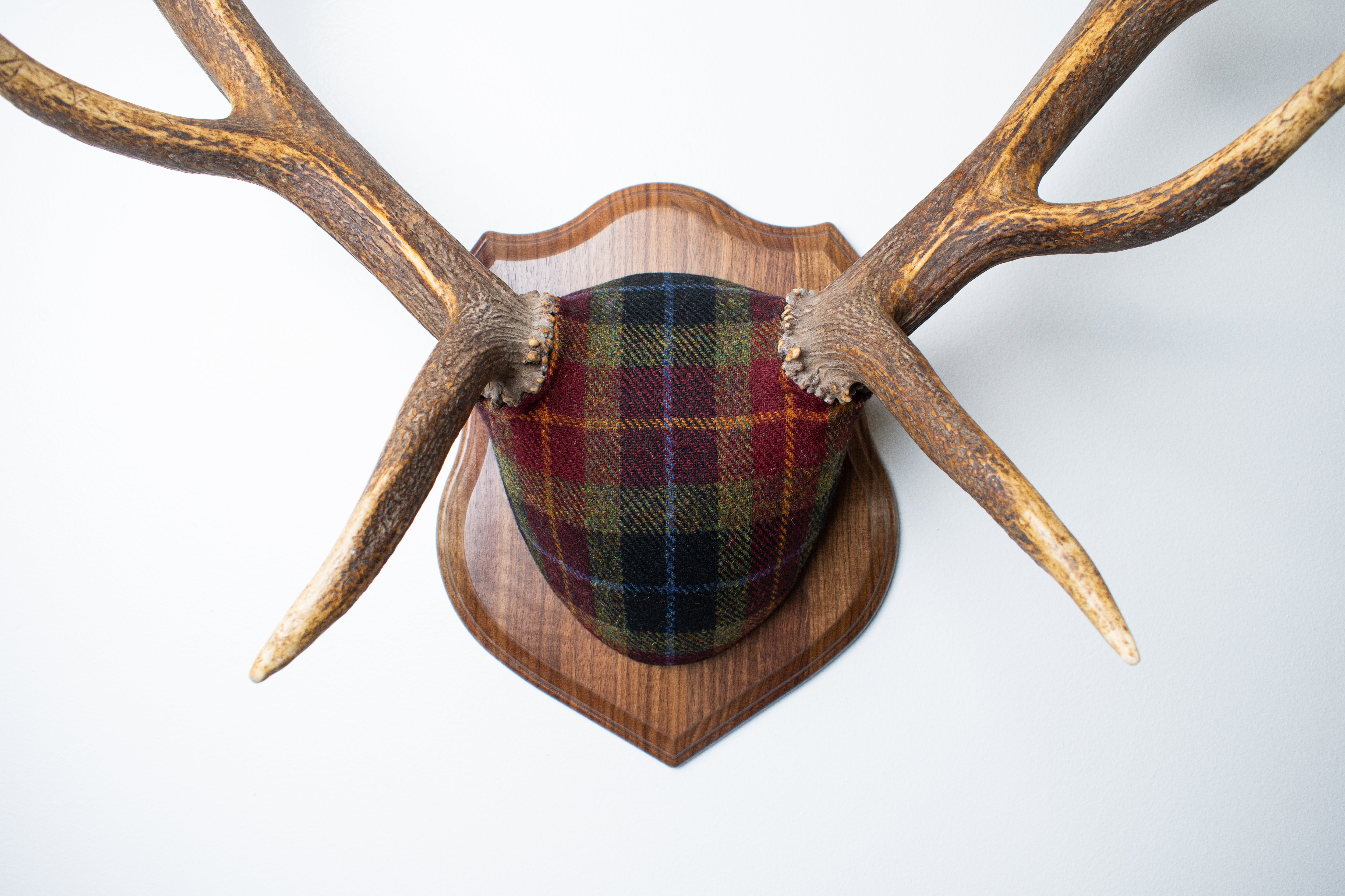 SOLD OUT | Elk Antler Mount | Green, Red, & Black Tartan | 29