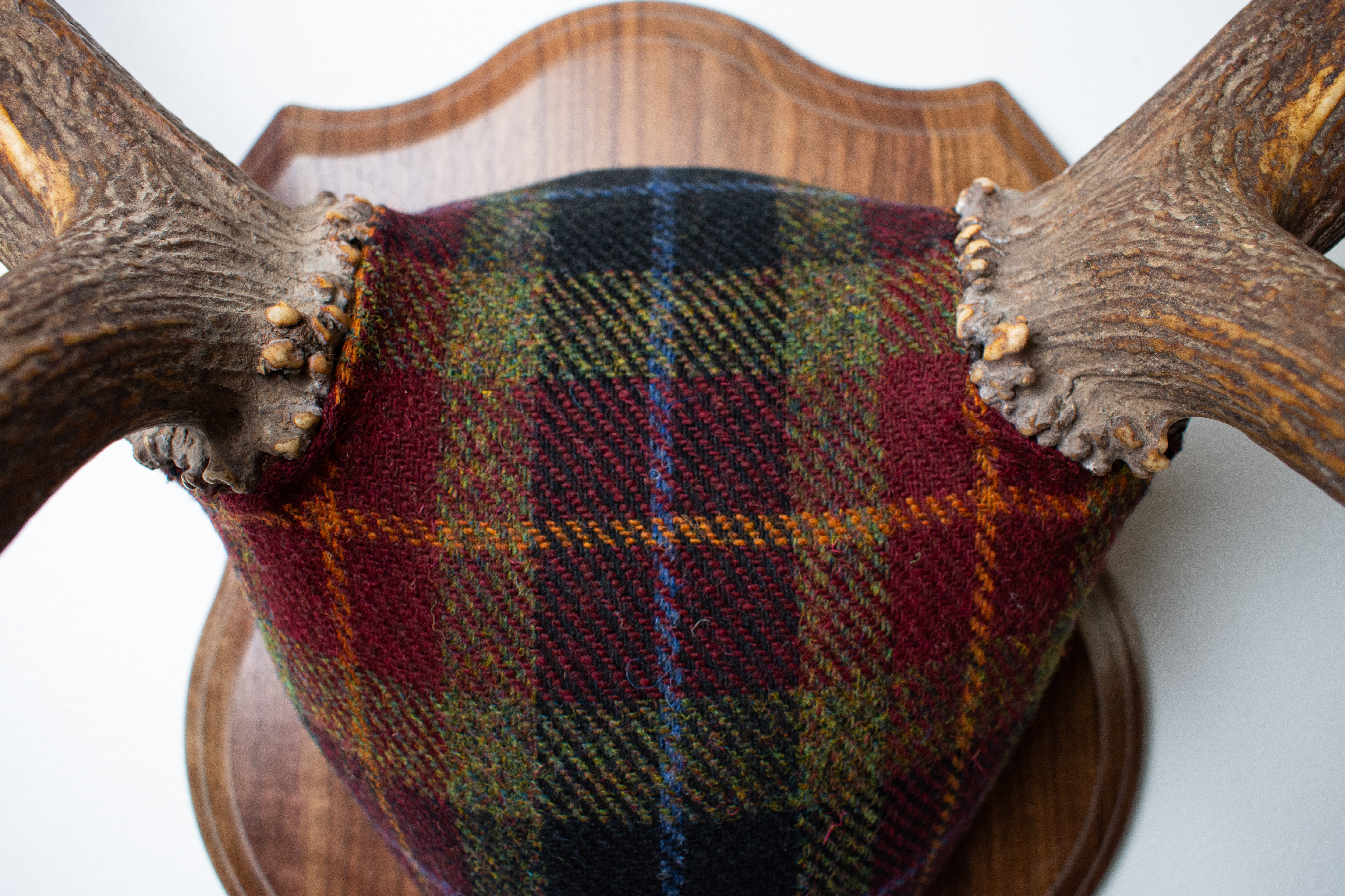 Elk Antler Mount | Green, Red, & Black Tartan | 29