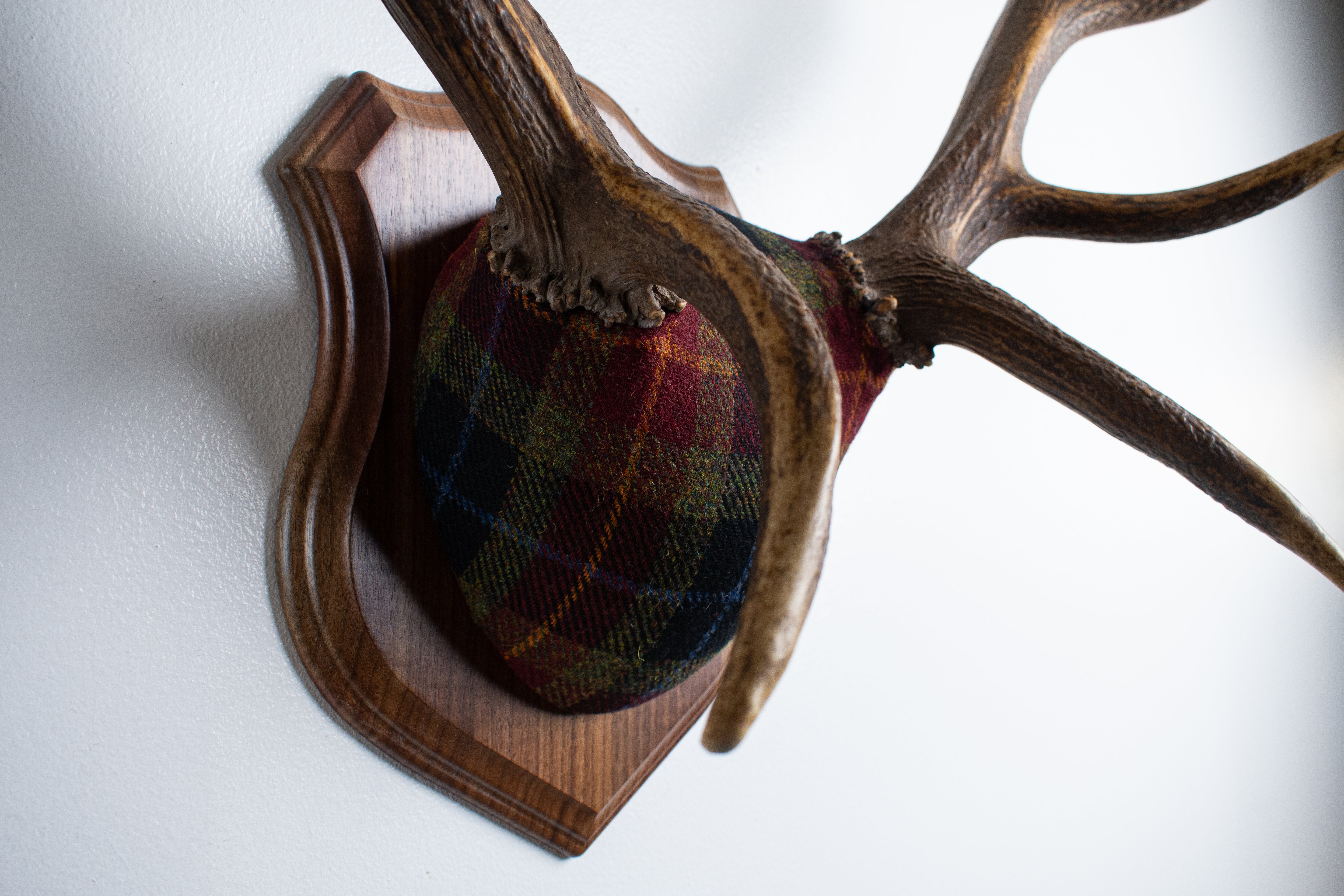 SOLD OUT | Elk Antler Mount | Green, Red, & Black Tartan | 29