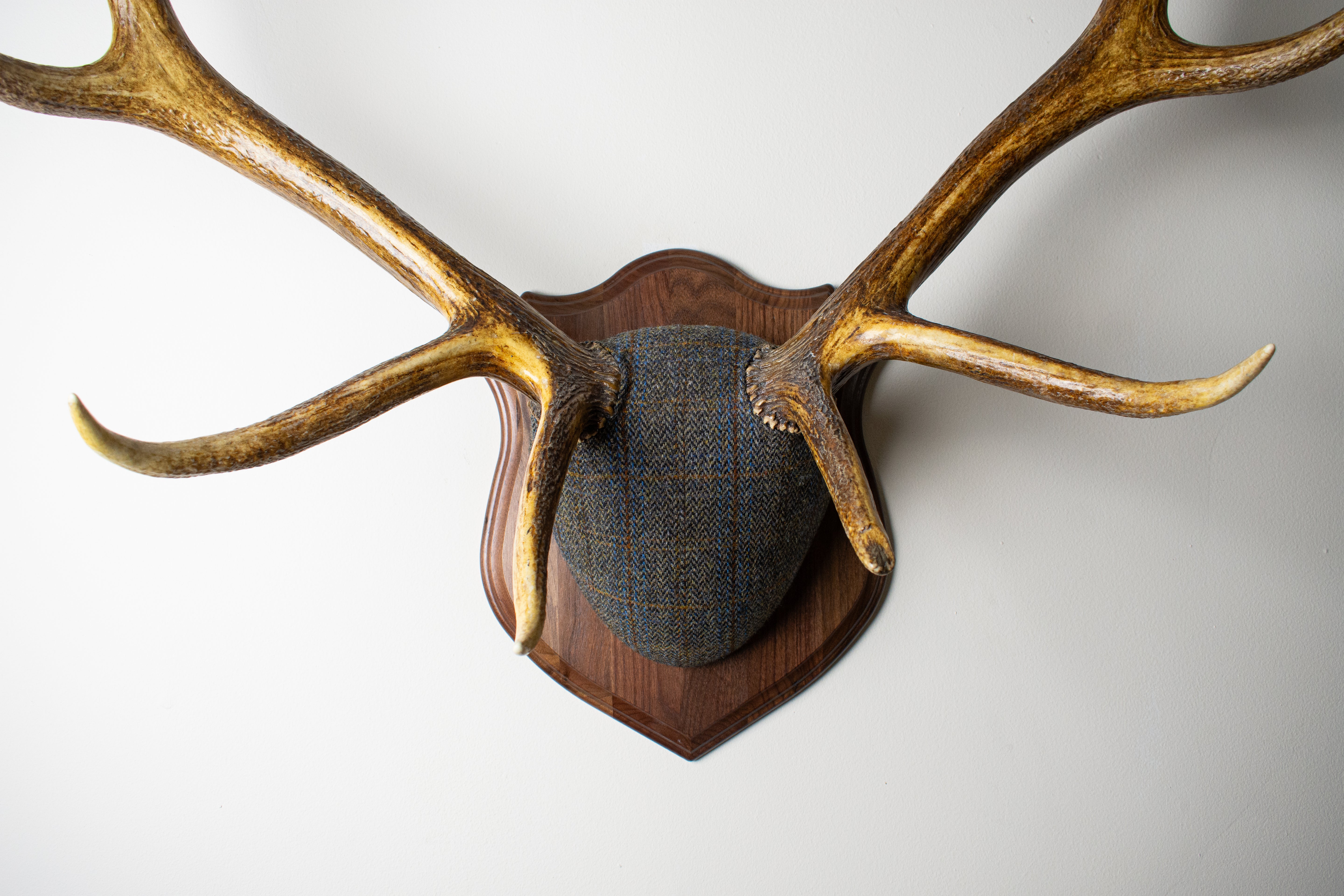 Elk Antler Mount | Green & Blue Herringbone with Rust Overcheck | 30