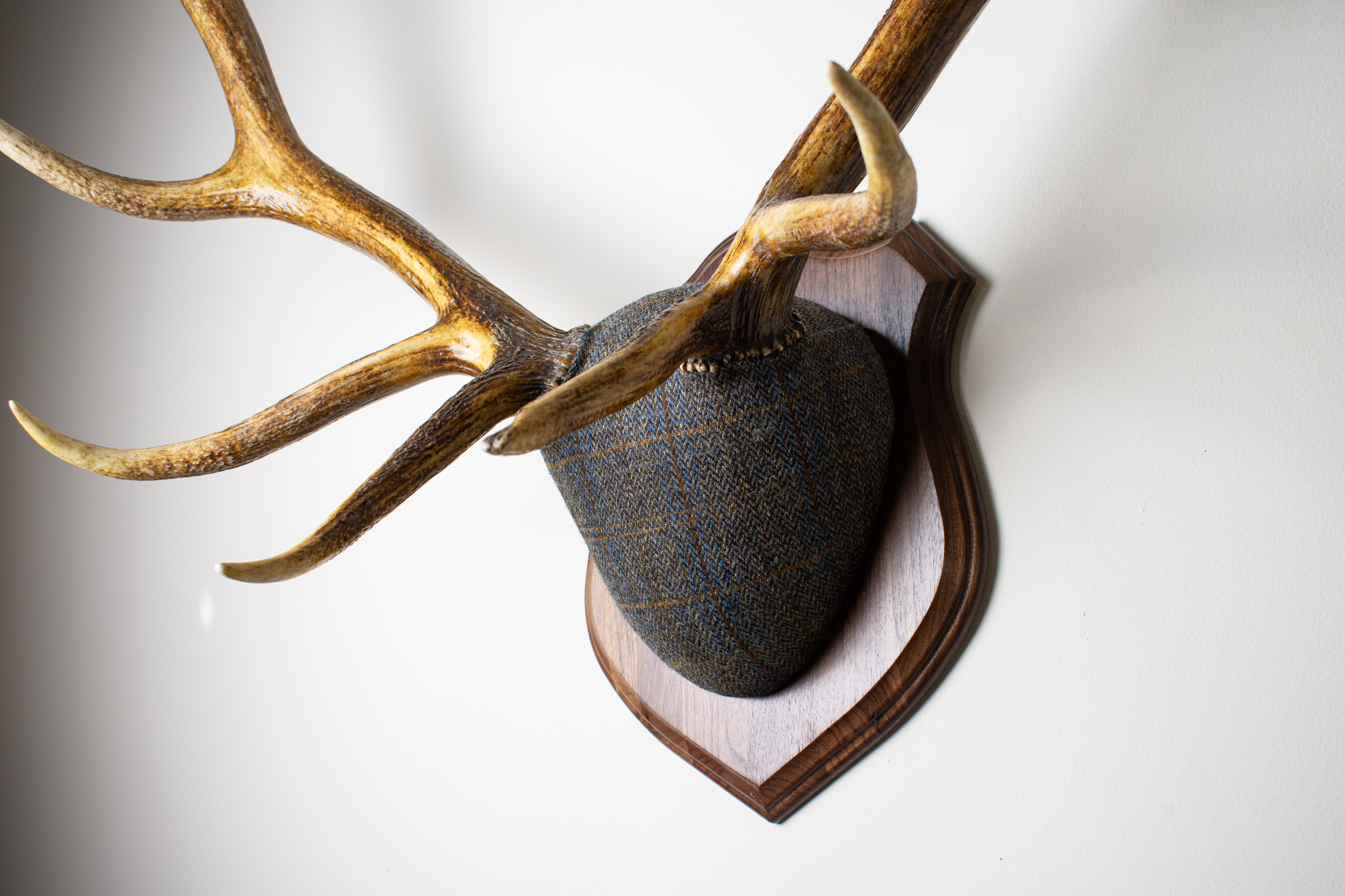 Elk Antler Mount | Green & Blue Herringbone with Rust Overcheck | 30