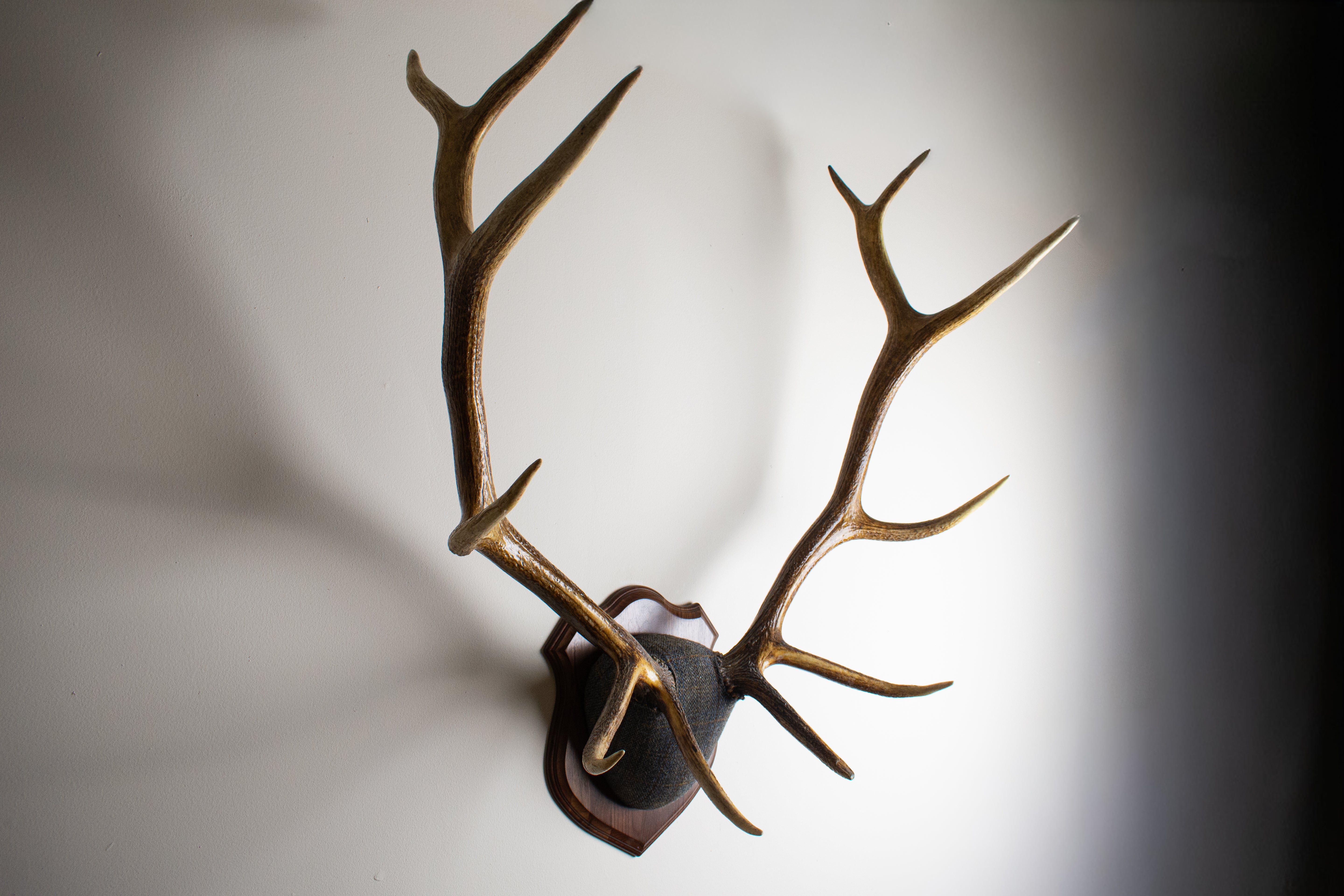 Elk Antler Mount | Green & Blue Herringbone with Rust Overcheck | 30