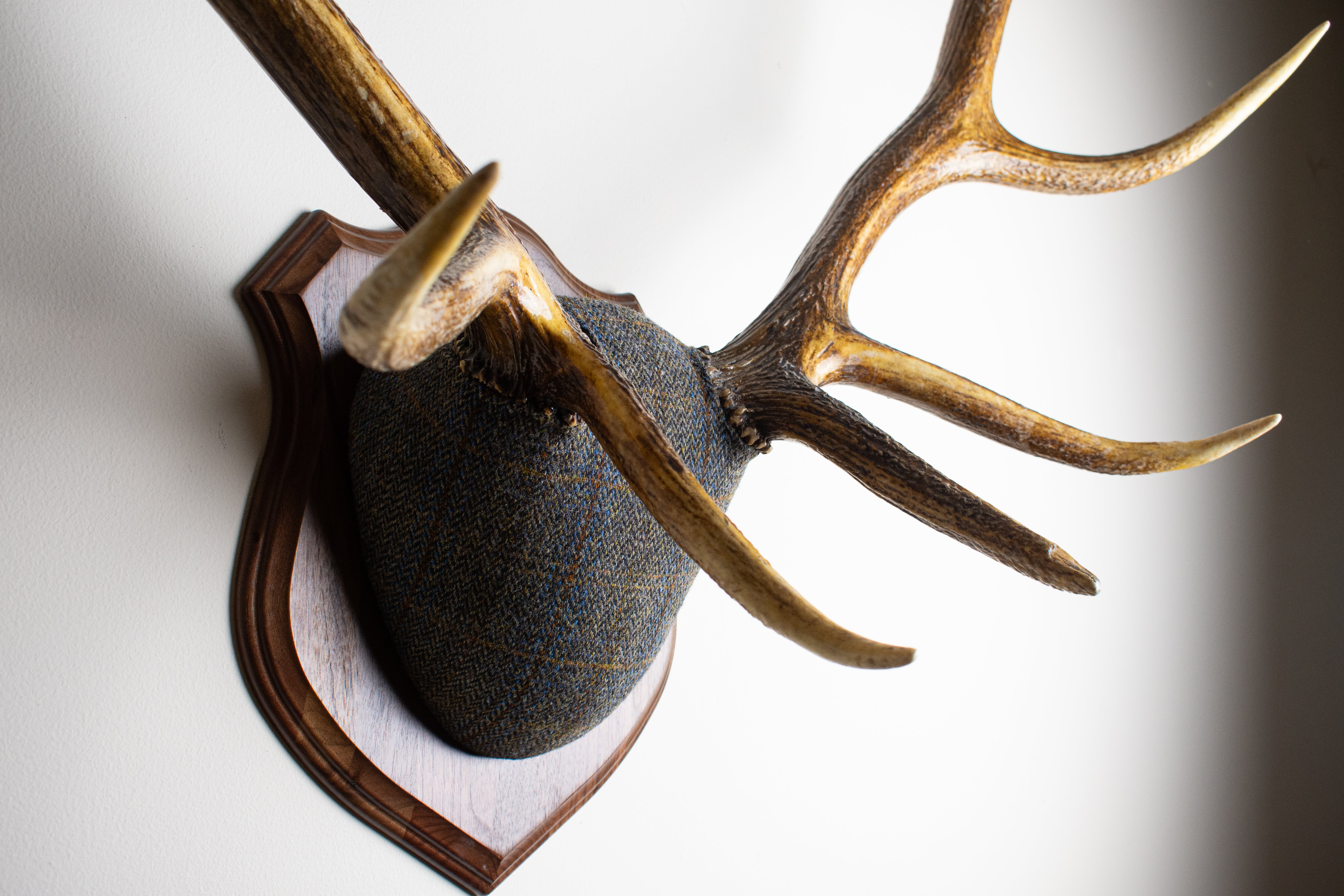 Elk Antler Mount | Green & Blue Herringbone with Rust Overcheck | 30