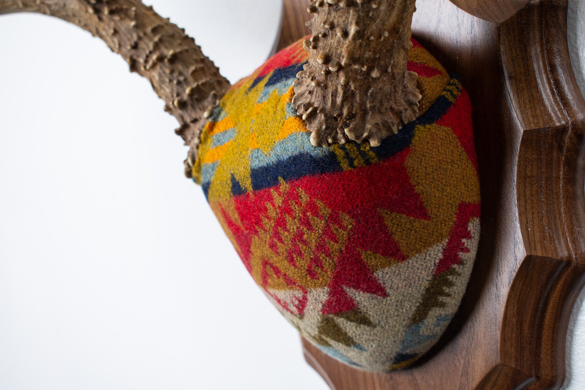 SOLD OUT | Mule Deer Antler Mount | Canyon | 06