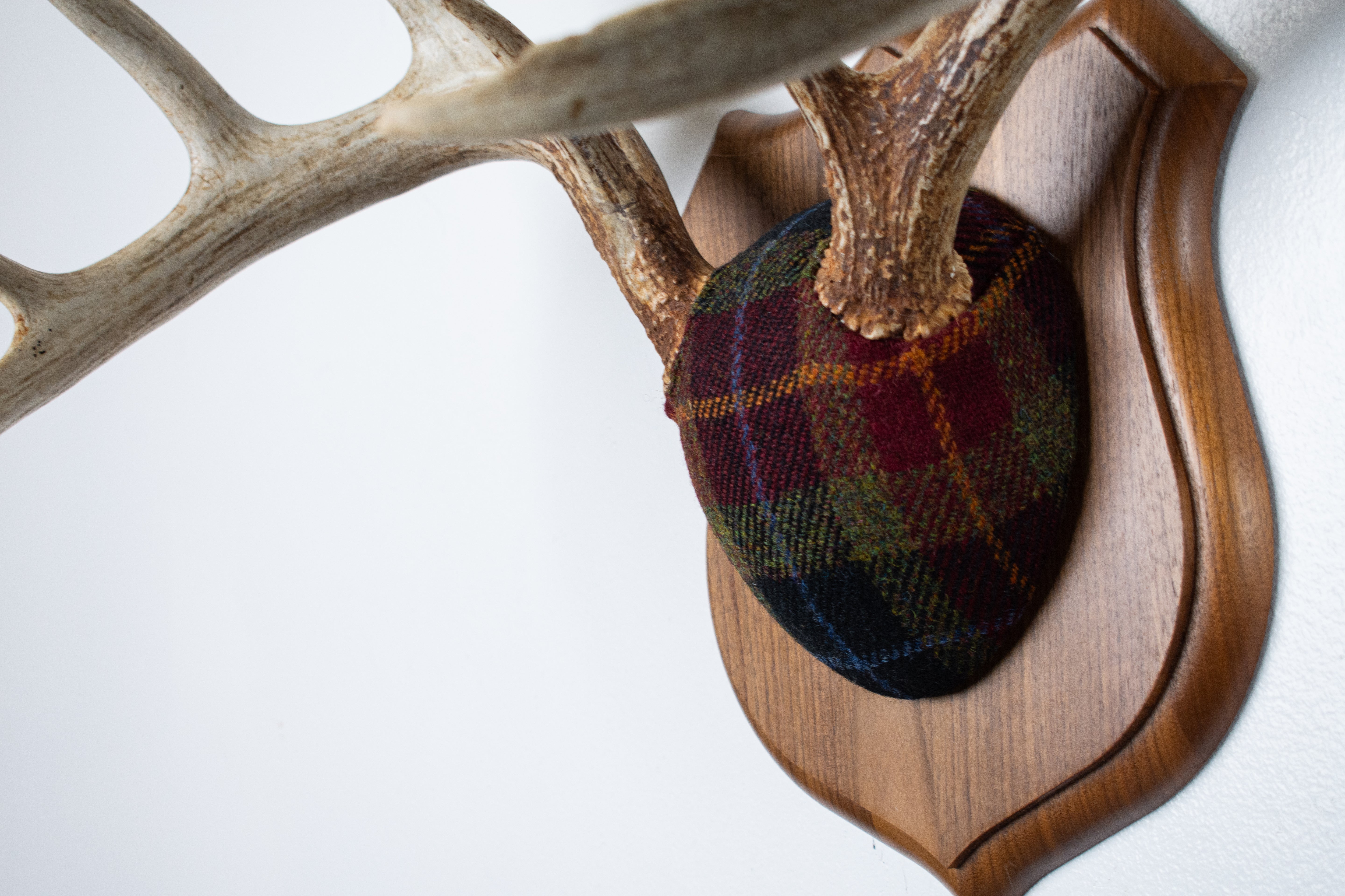 Whitetail Deer Antler Mount | Green, Red & Black Tartan | 31