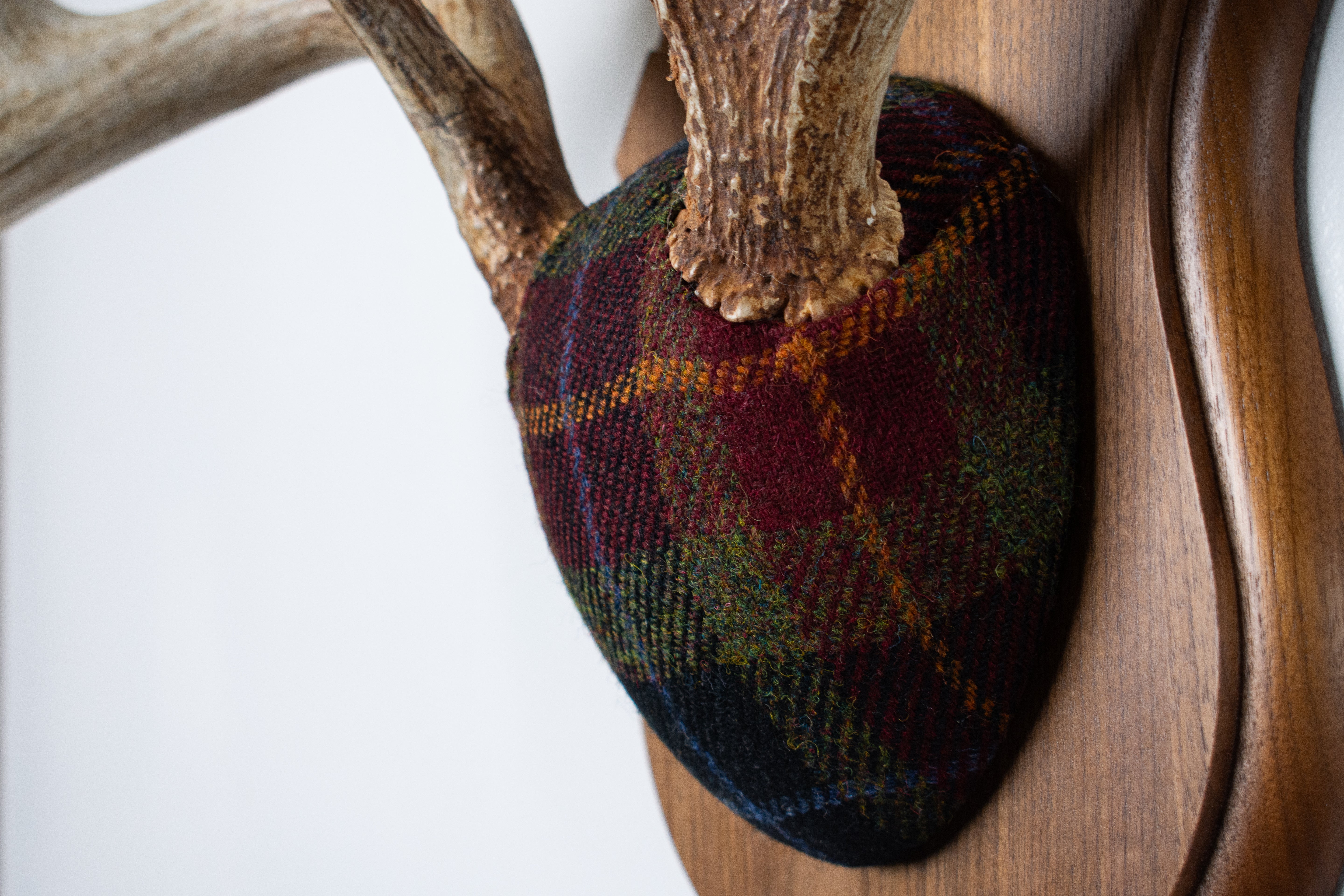 Whitetail Deer Antler Mount | Green, Red & Black Tartan | 31
