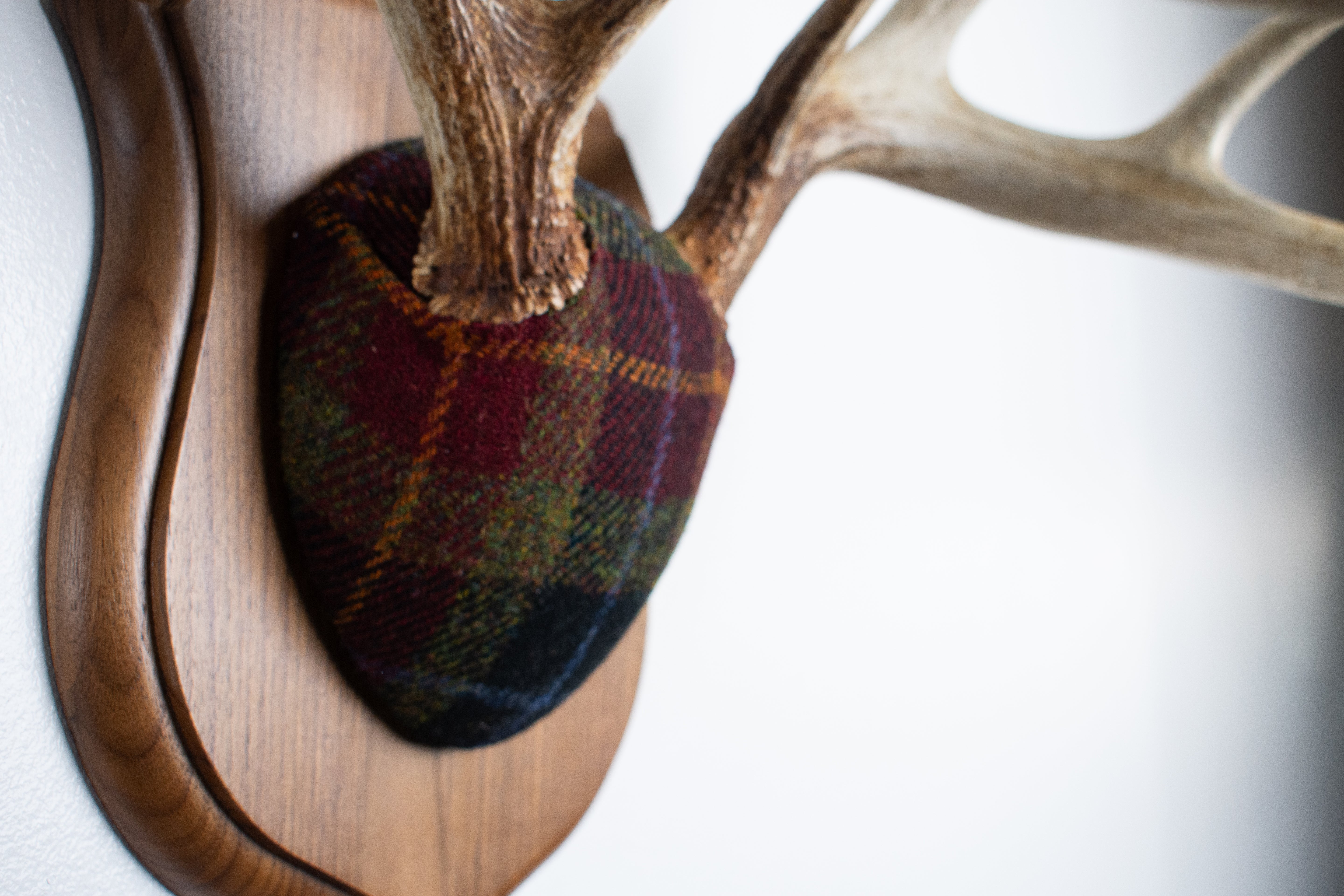 Whitetail Deer Antler Mount | Green, Red & Black Tartan | 31