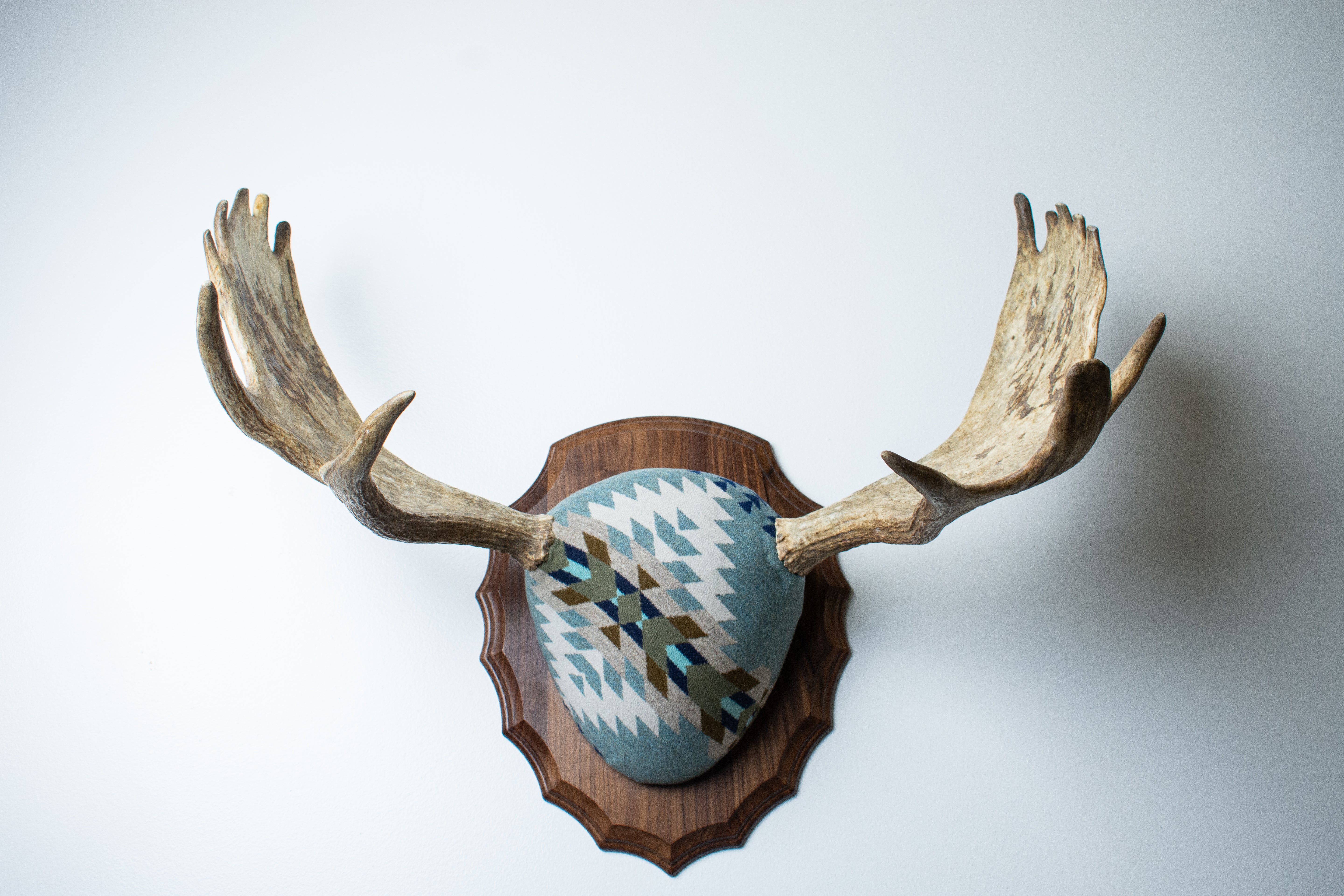 Moose Antler Mount | Stone | 10