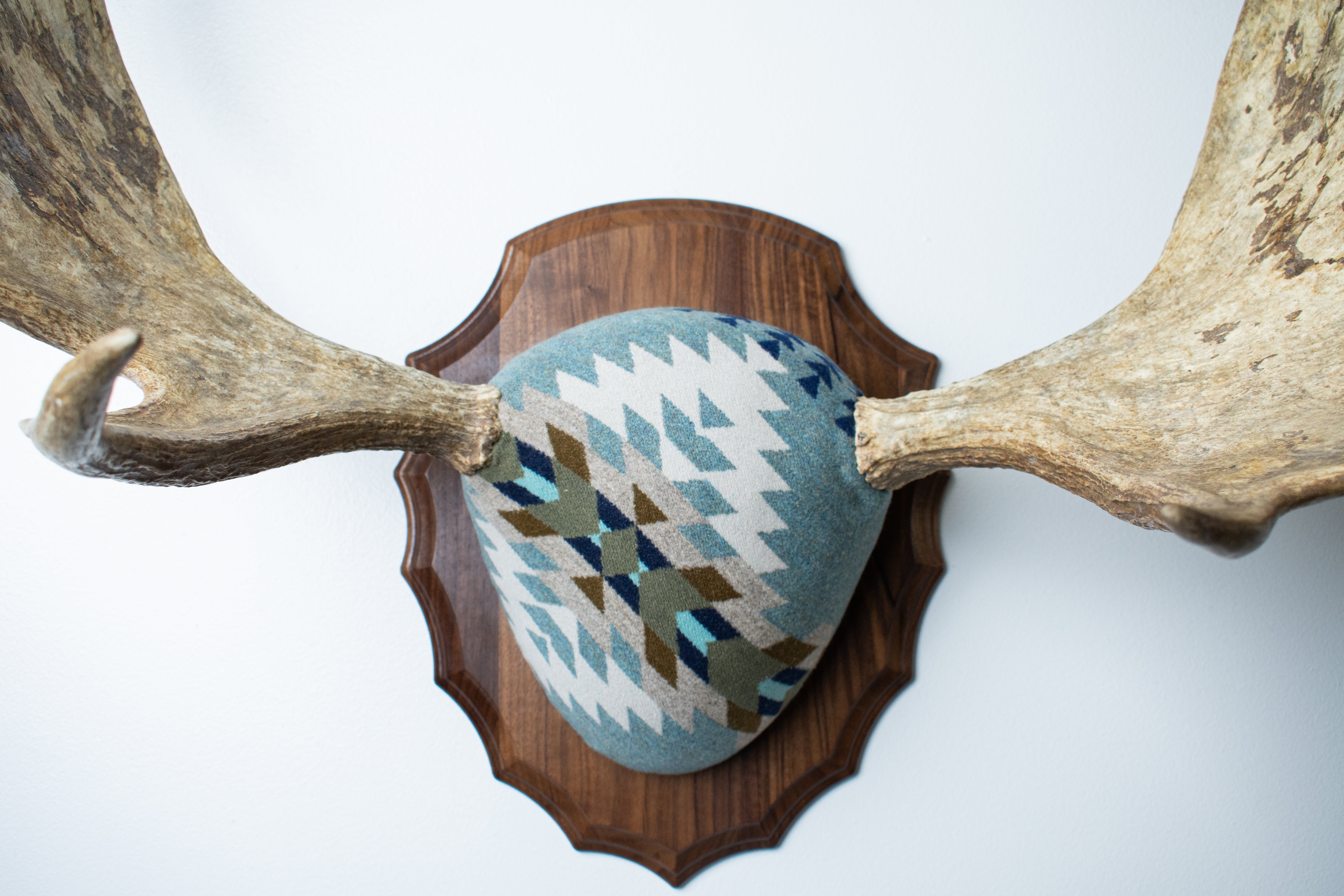 Moose Antler Mount | Stone | 10