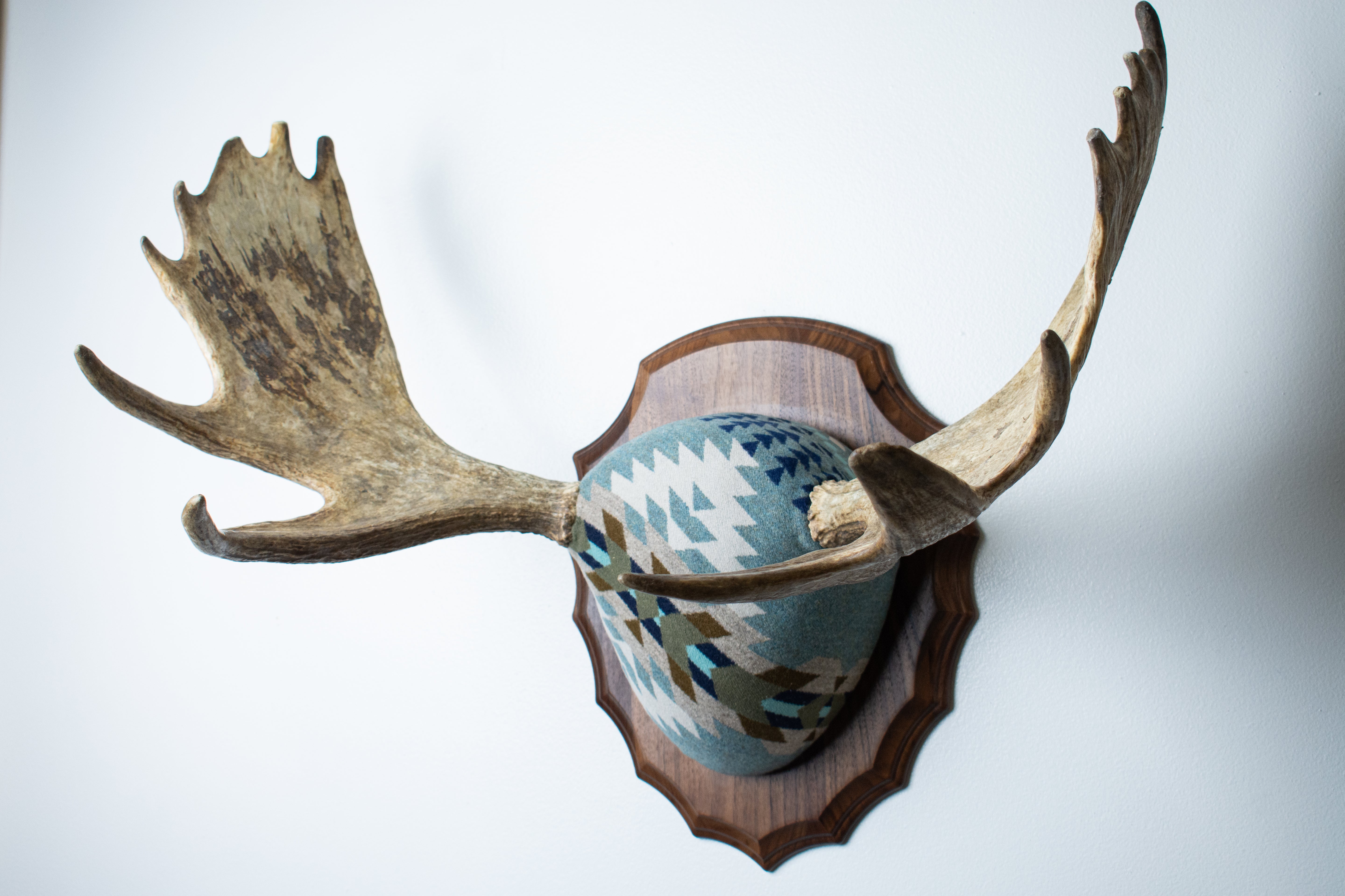 Moose Antler Mount | Stone | 10