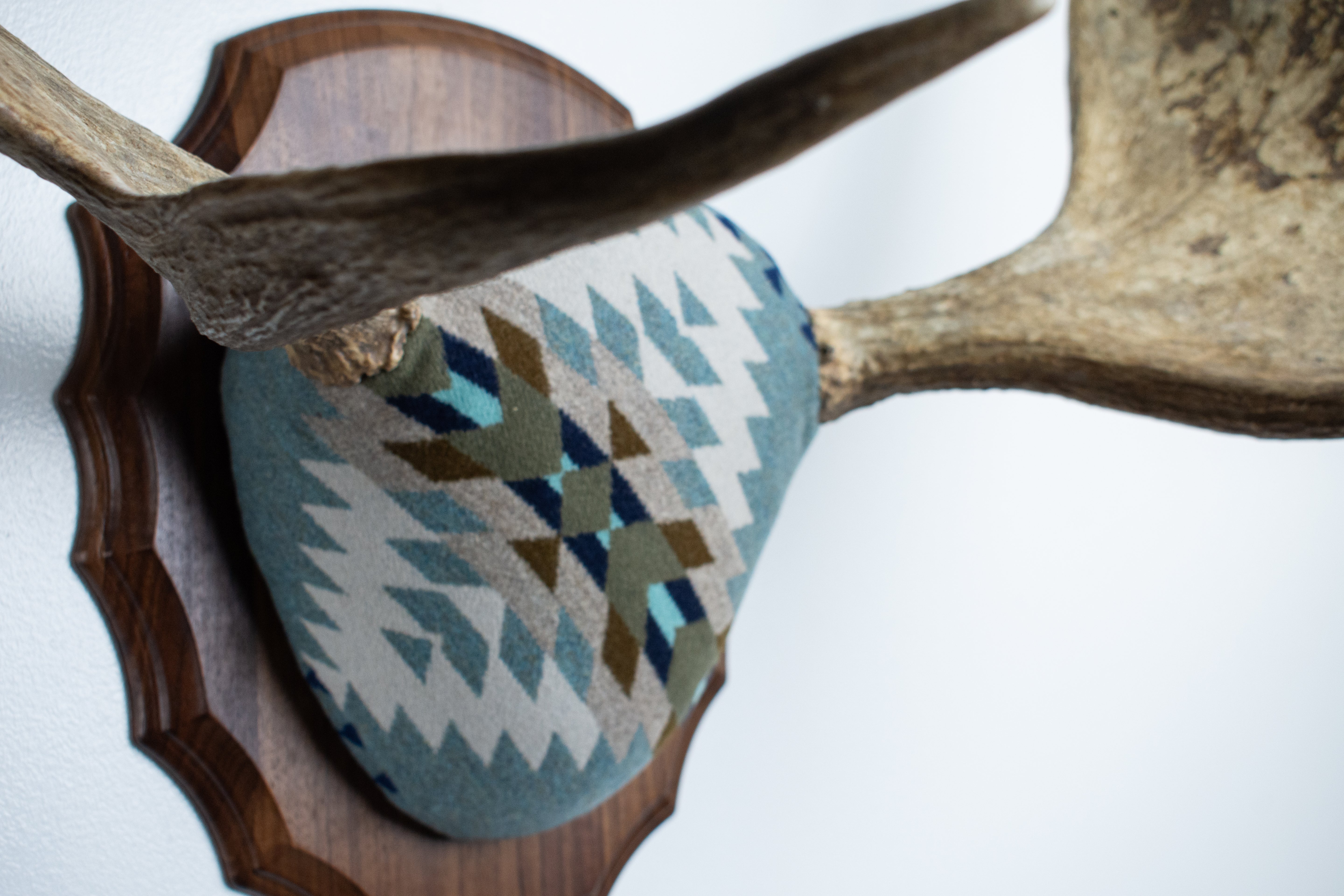 Moose Antler Mount | Stone | 10