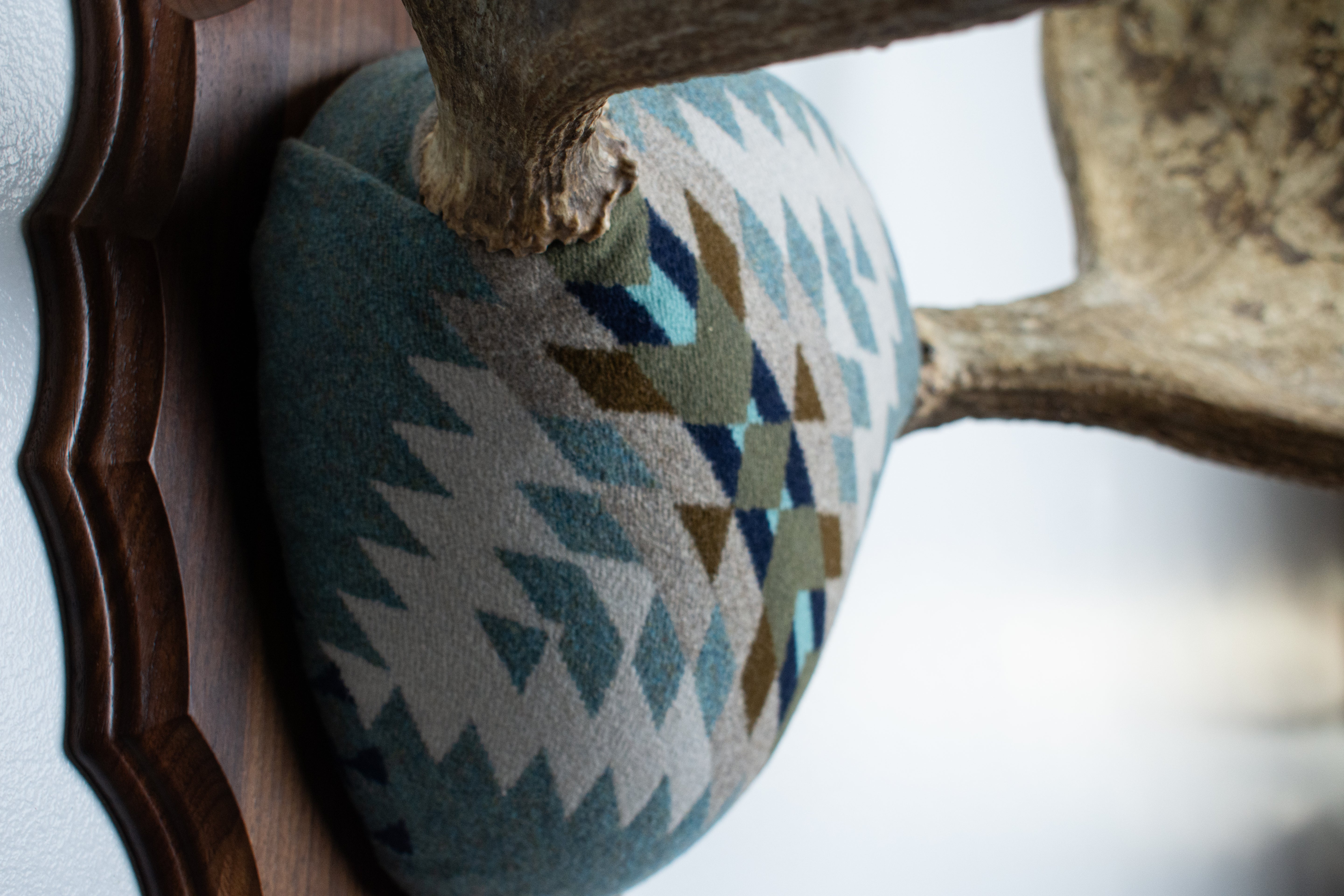 Moose Antler Mount | Stone | 10