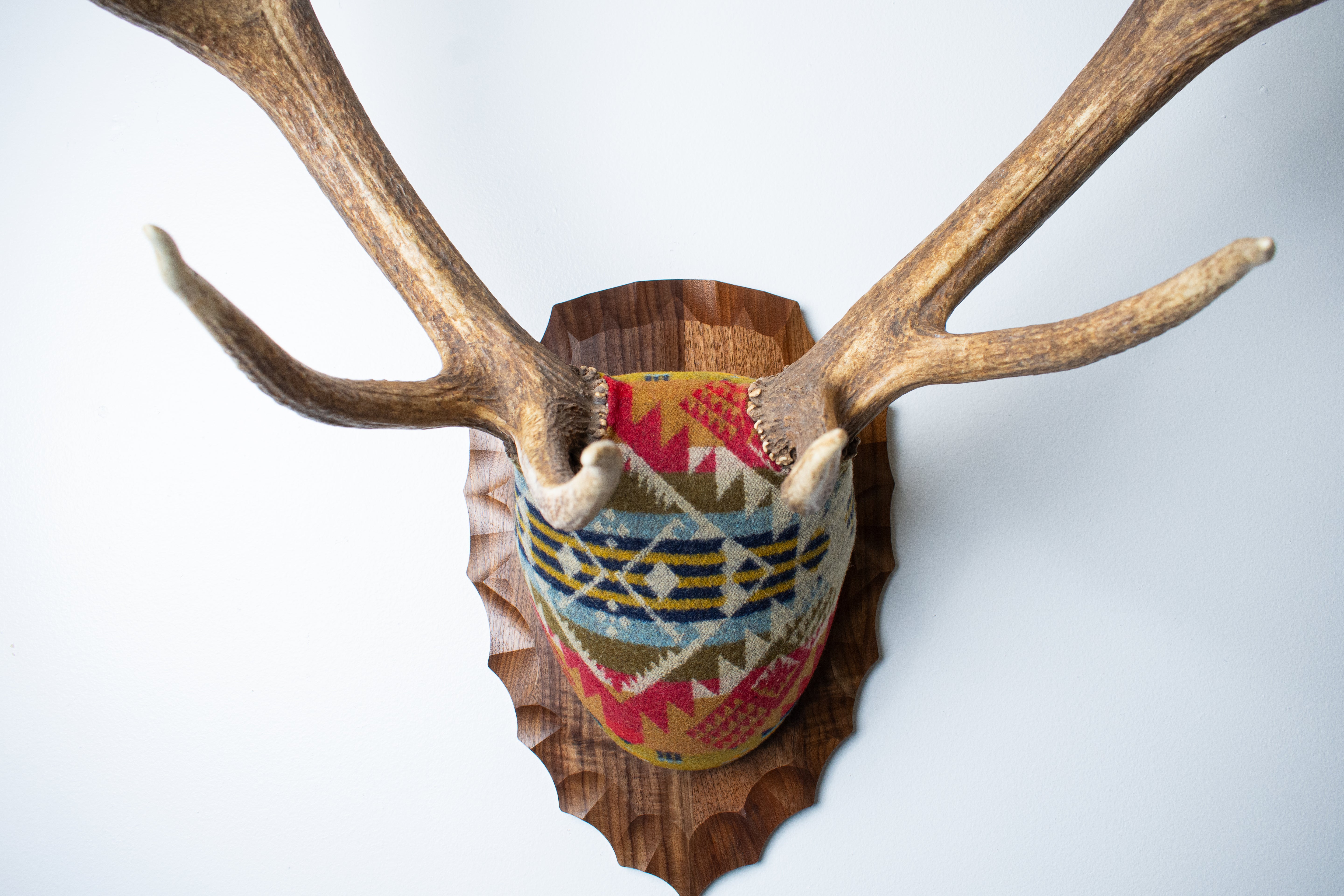 SOLD OUT | Elk Antler Mount | Canyon | 09