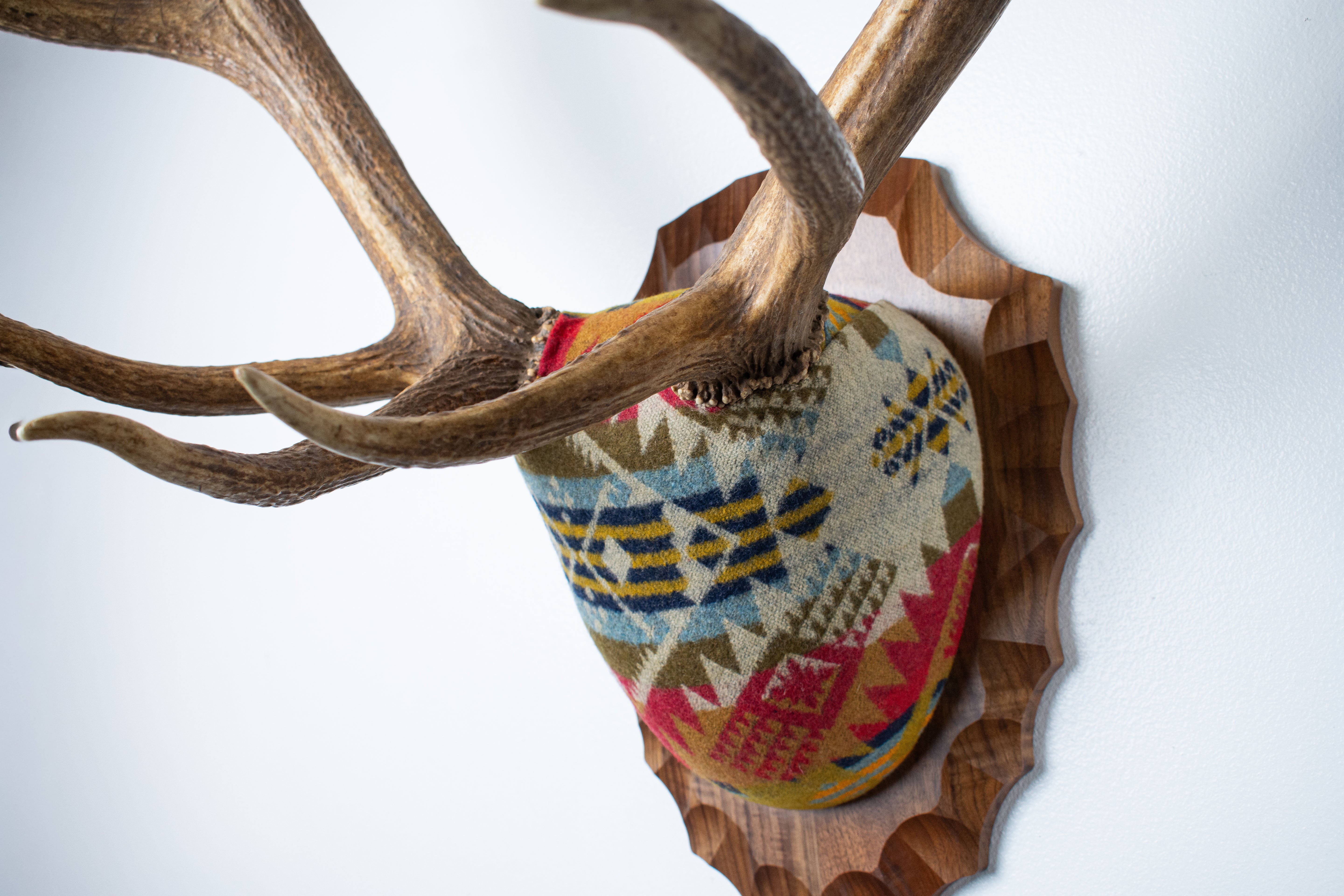 SOLD OUT | Elk Antler Mount | Canyon | 09