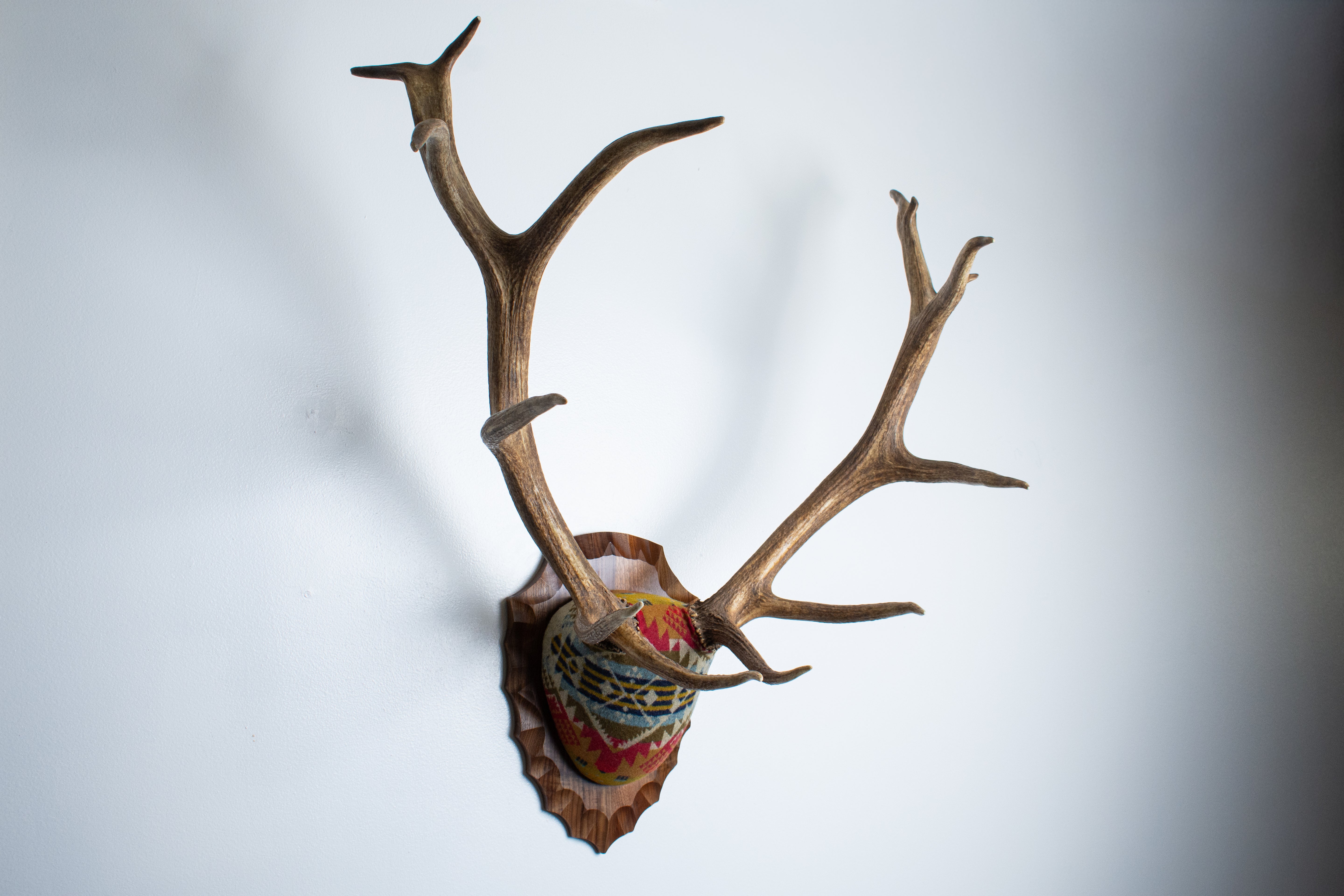 SOLD OUT | Elk Antler Mount | Canyon | 09