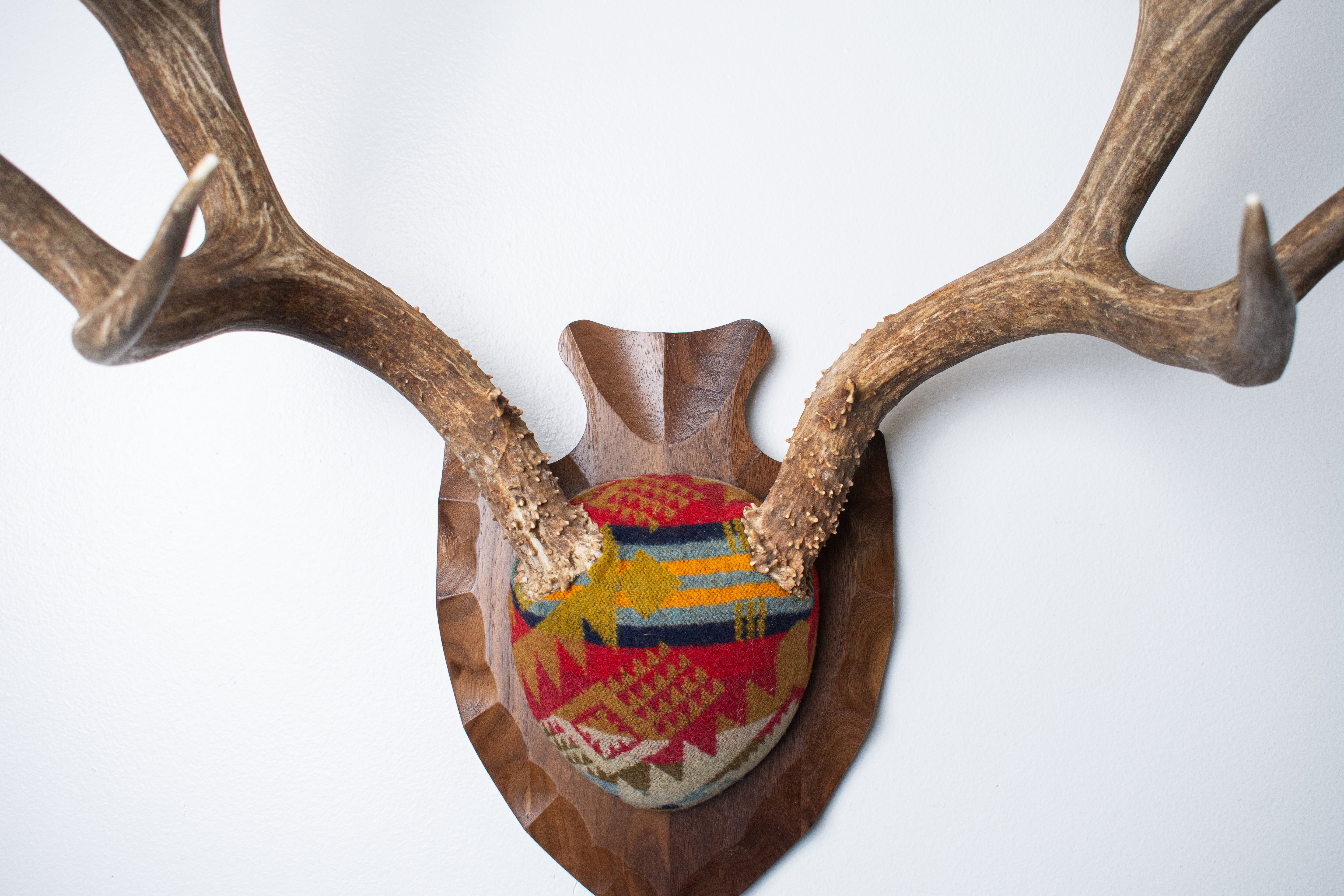 SOLD OUT | Mule Deer Antler Mount | Canyon | 13