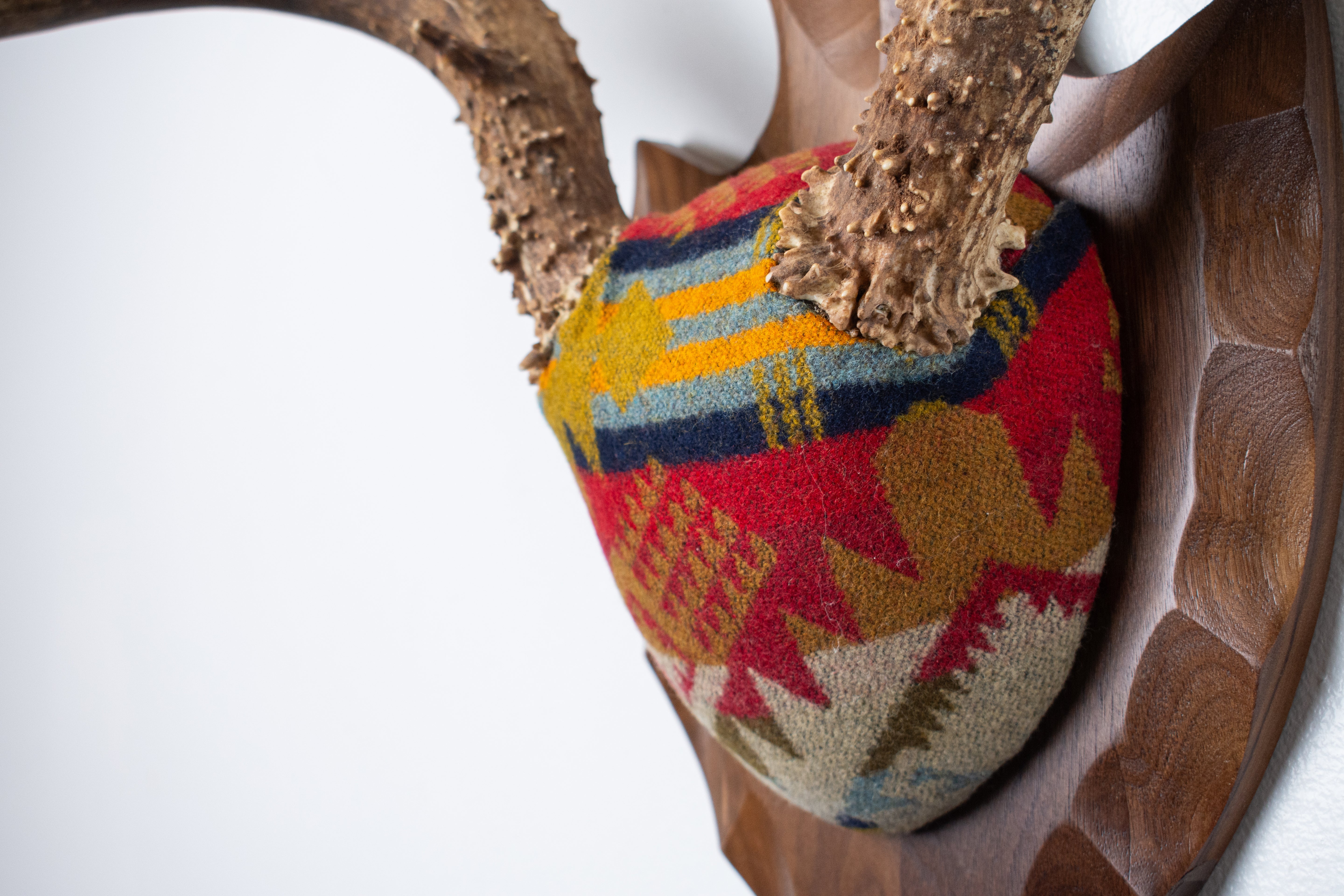 SOLD OUT | Mule Deer Antler Mount | Canyon | 13