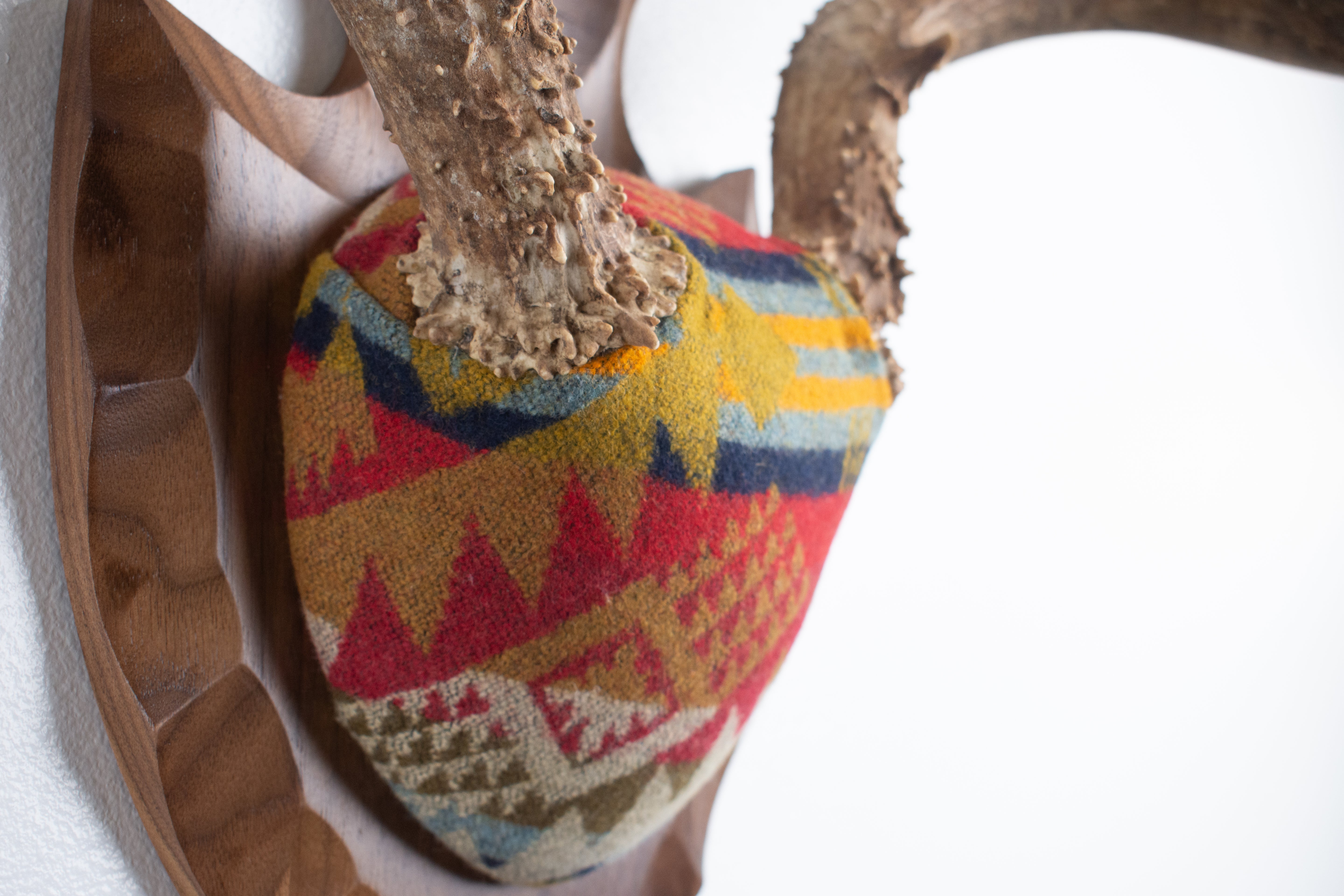 SOLD OUT | Mule Deer Antler Mount | Canyon | 13