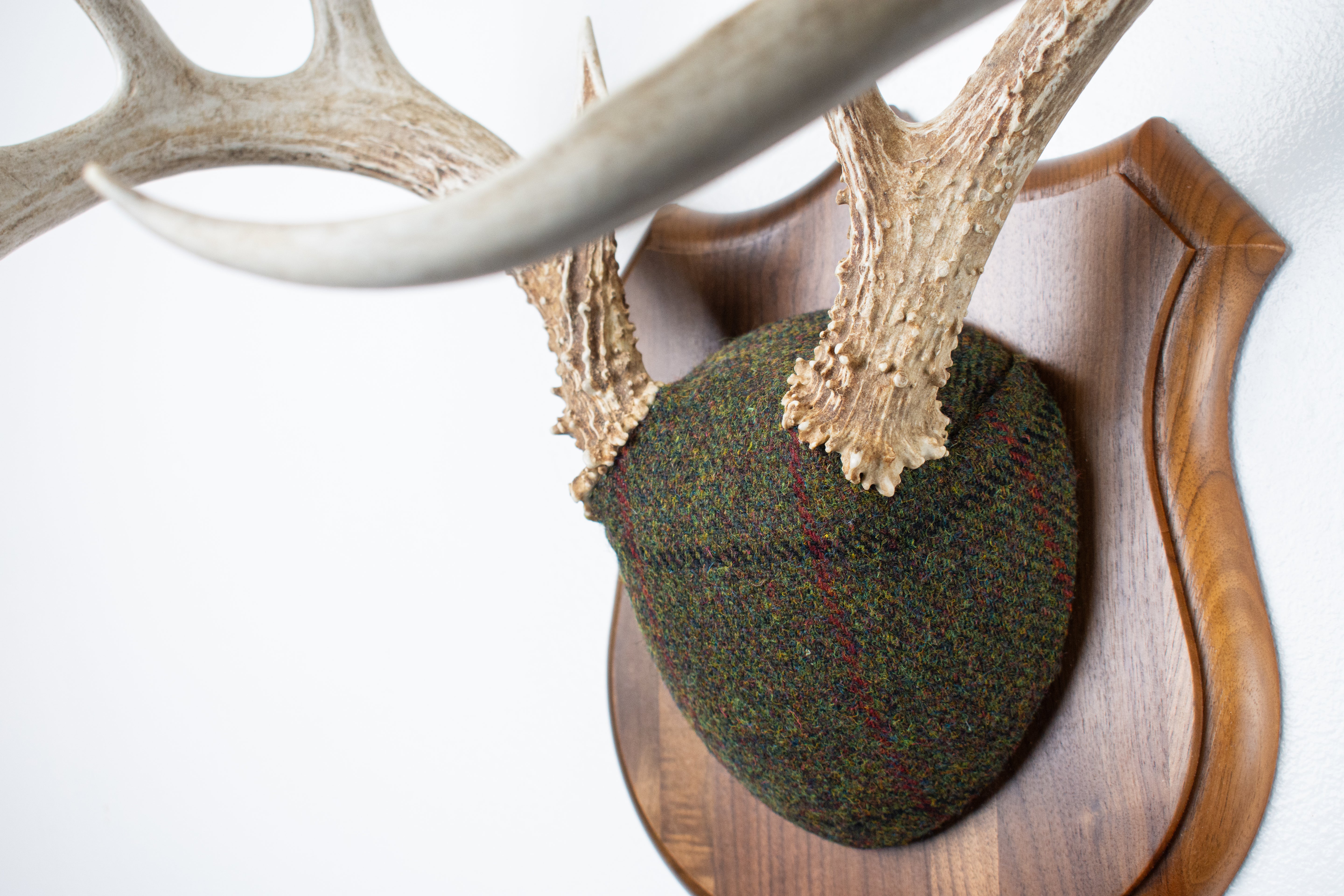 Whitetail Deer Antler Mount | Green mix with Black and Red Overcheck | 34