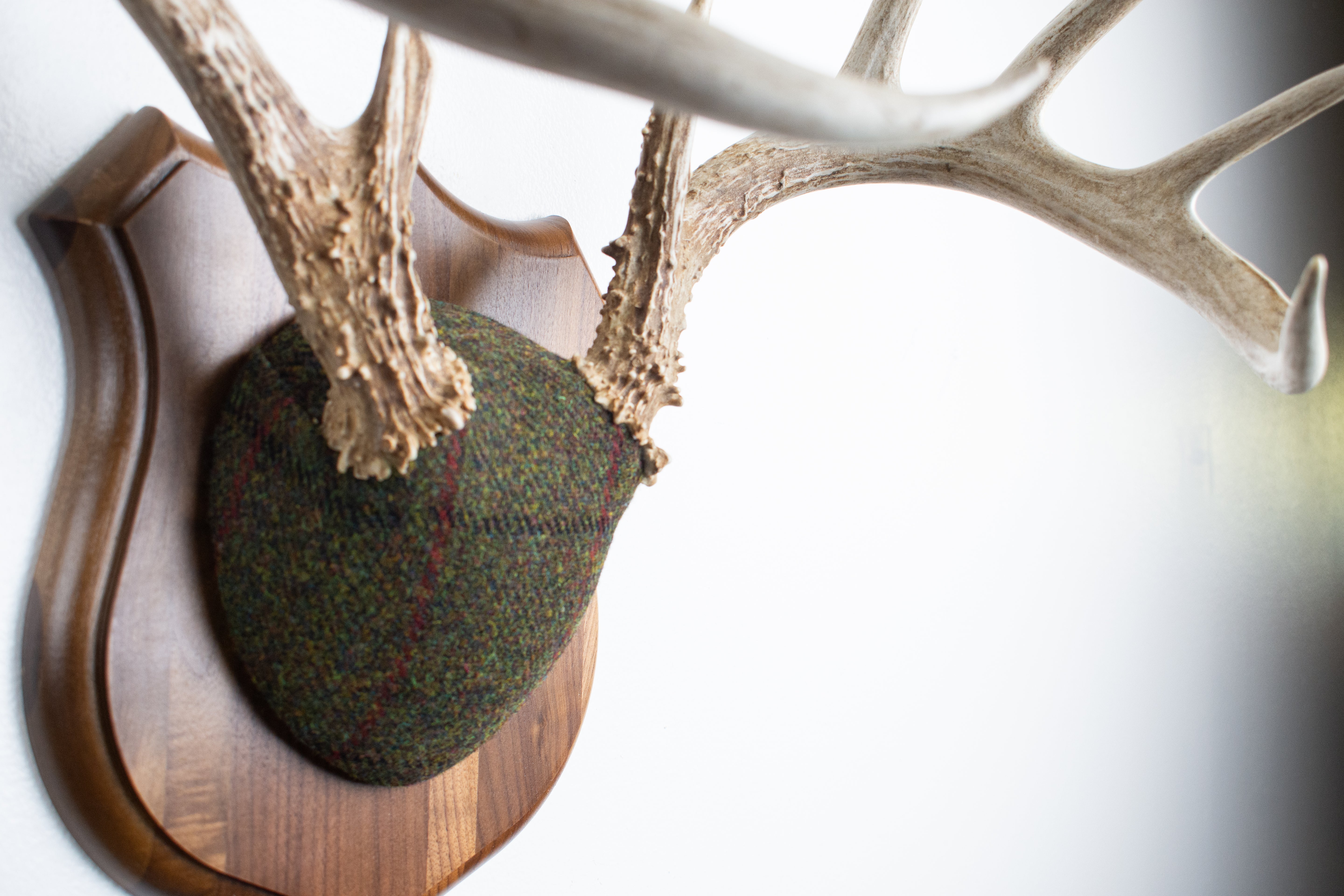 Whitetail Deer Antler Mount | Green mix with Black and Red Overcheck | 34