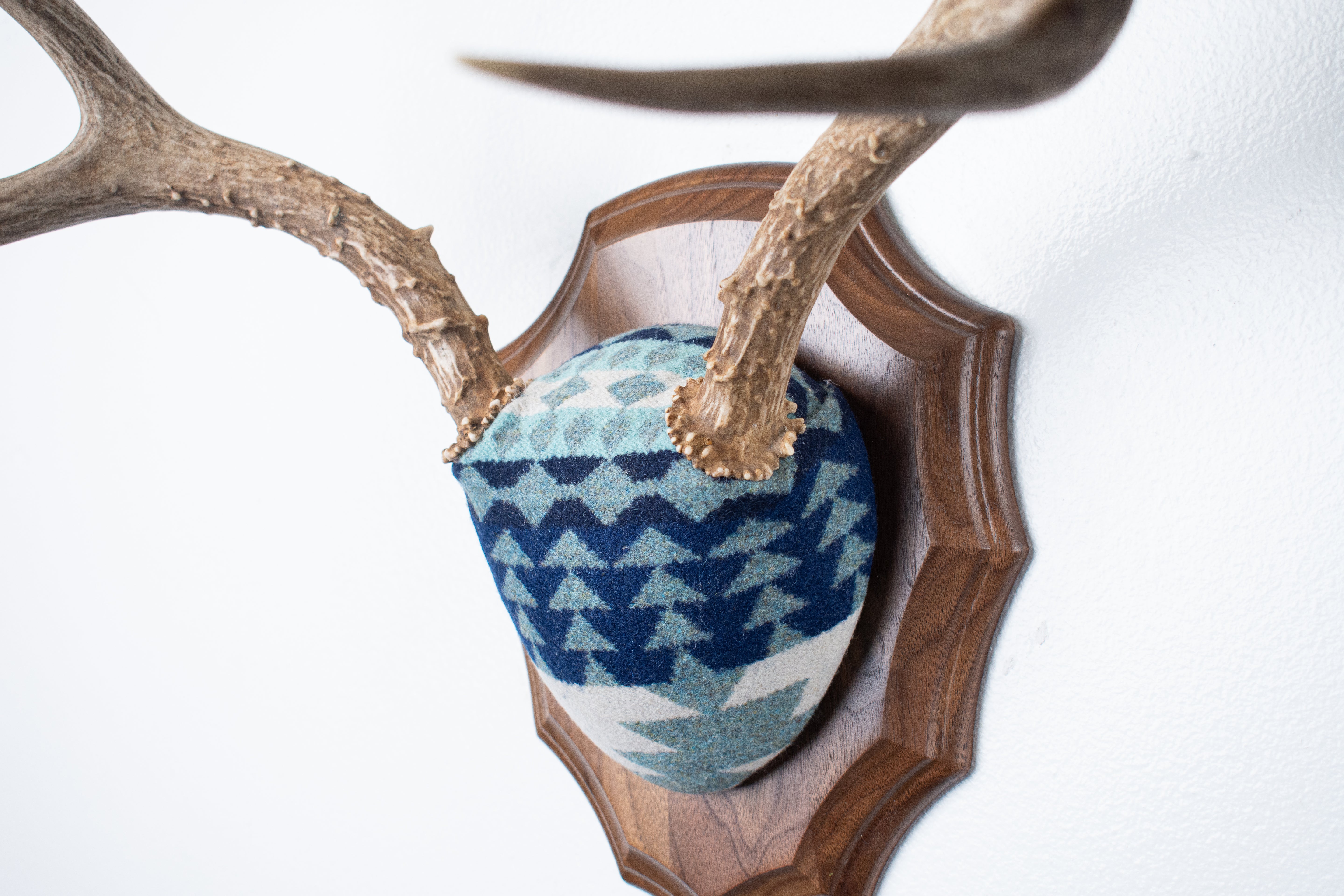 Mule Deer Antler Mount | Glacier | 14