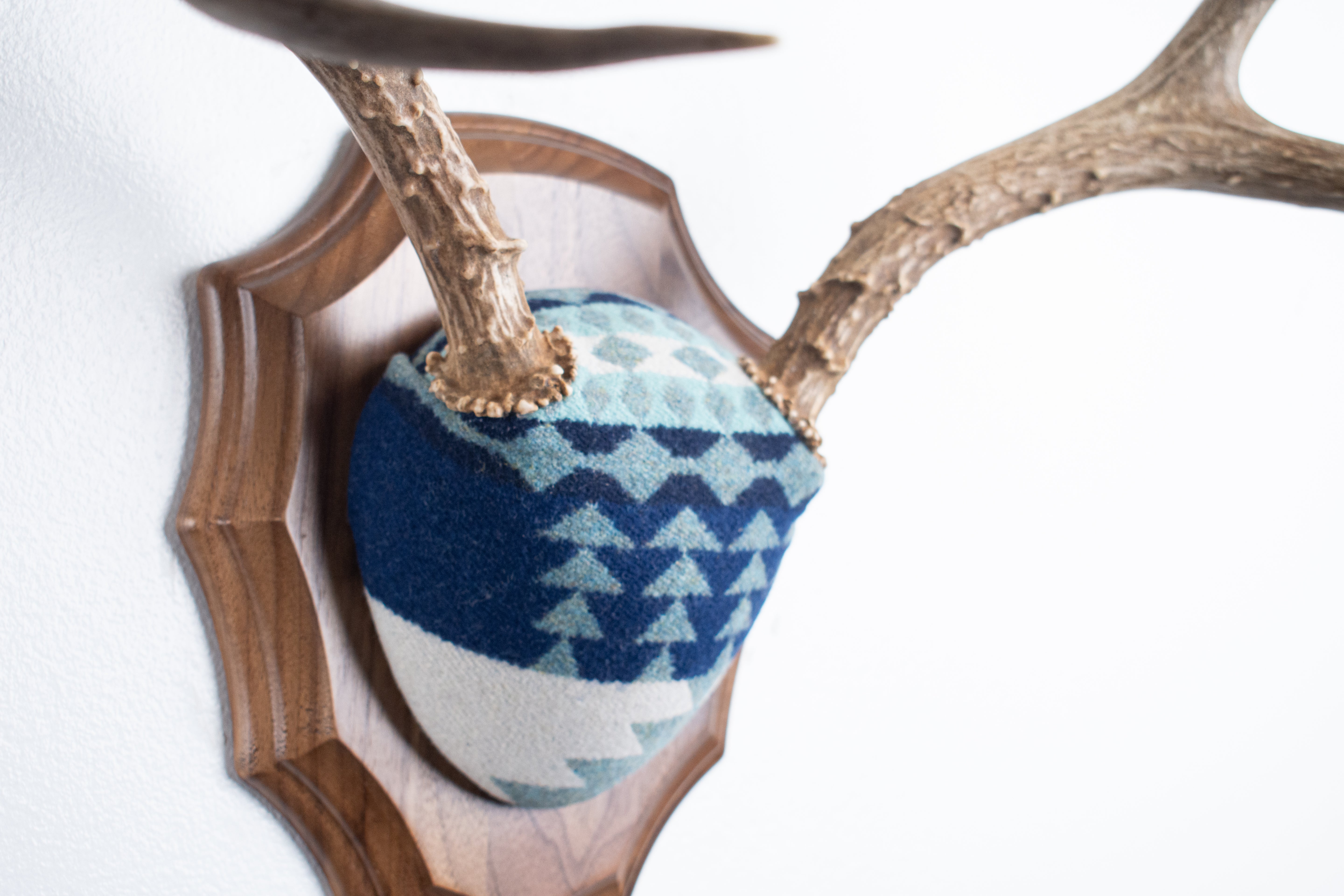 Mule Deer Antler Mount | Glacier | 14