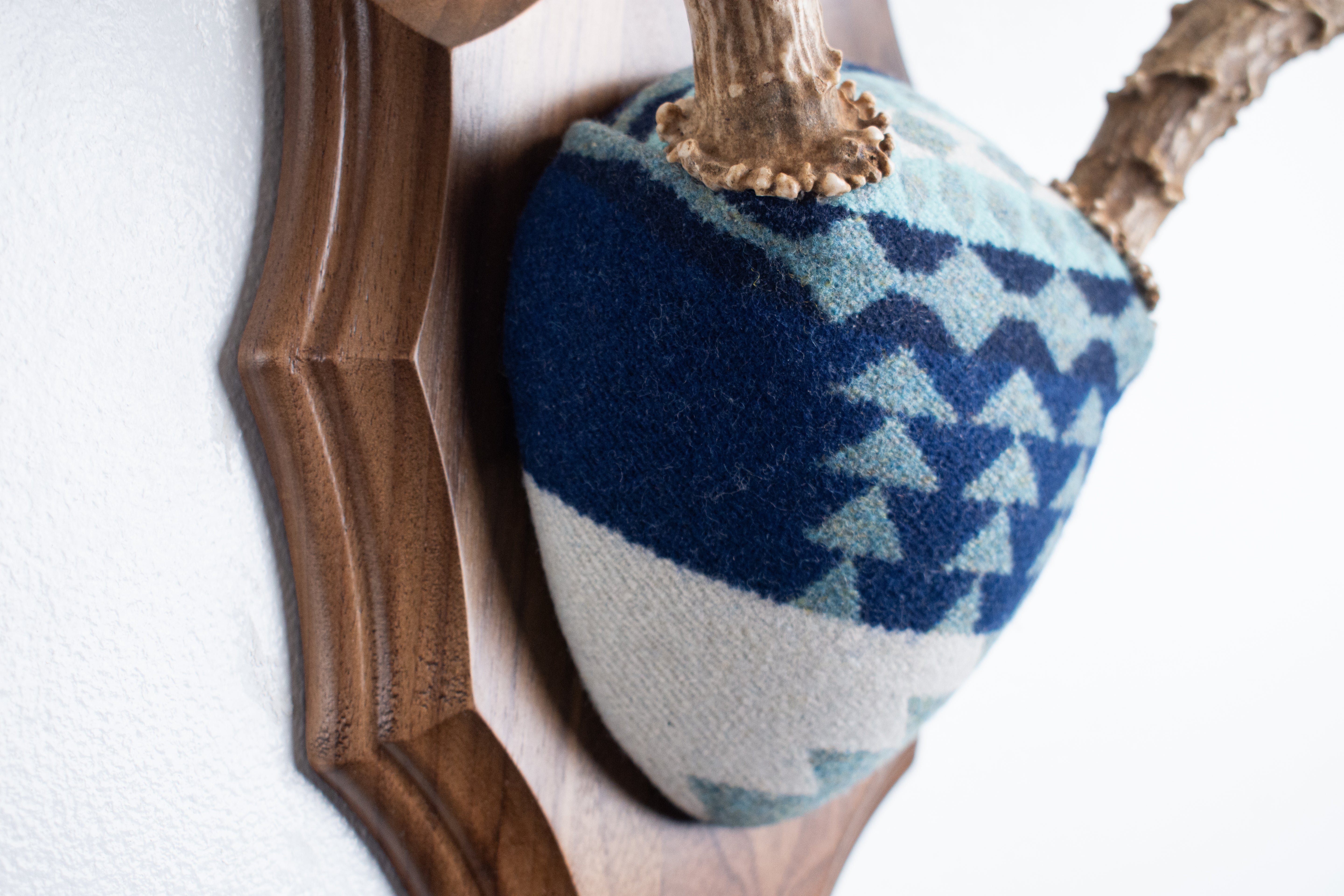 Mule Deer Antler Mount | Glacier | 14