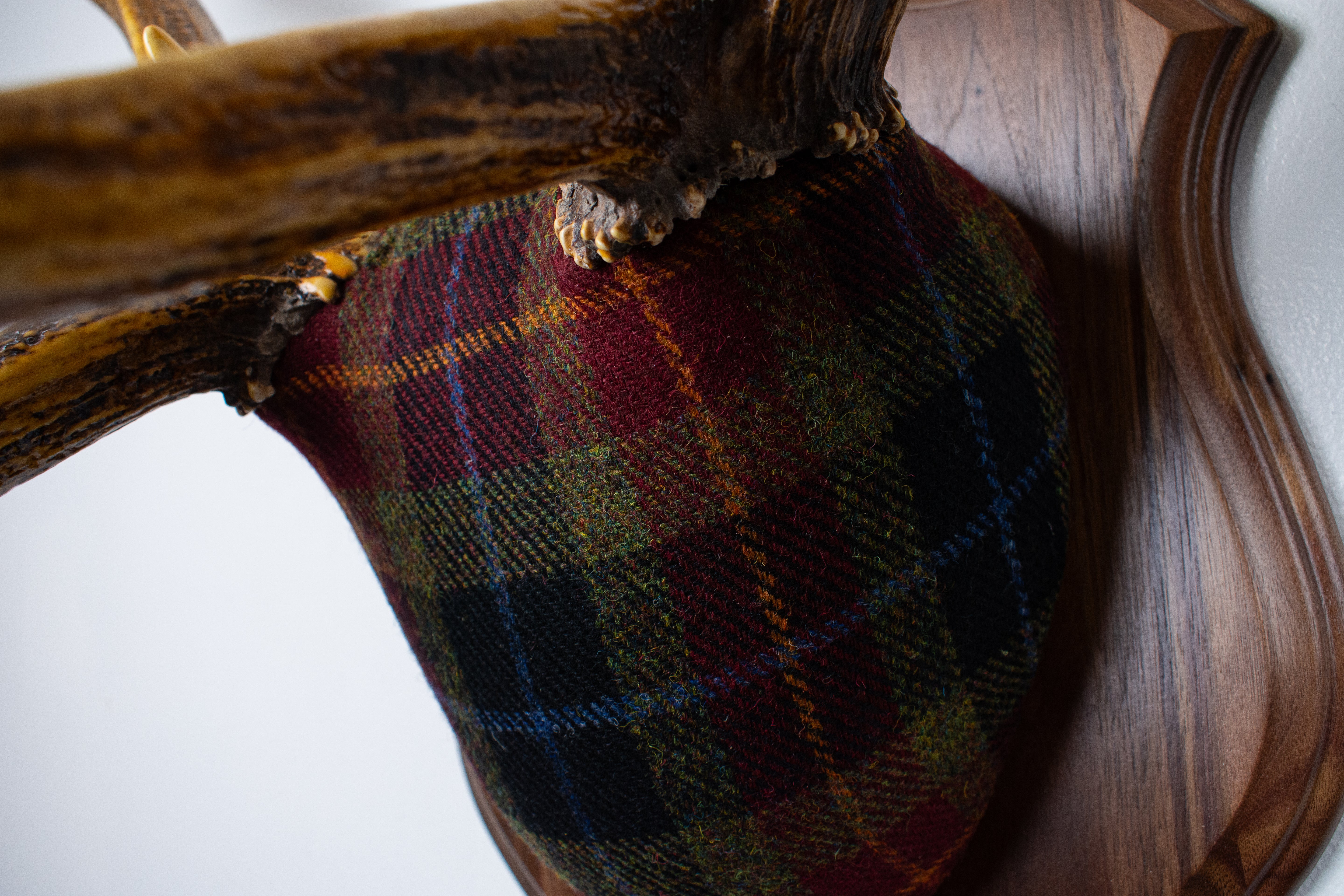 Elk Antler Mount | Green, Red & Black Tartan w/ Gold & Blue overchecks | 35