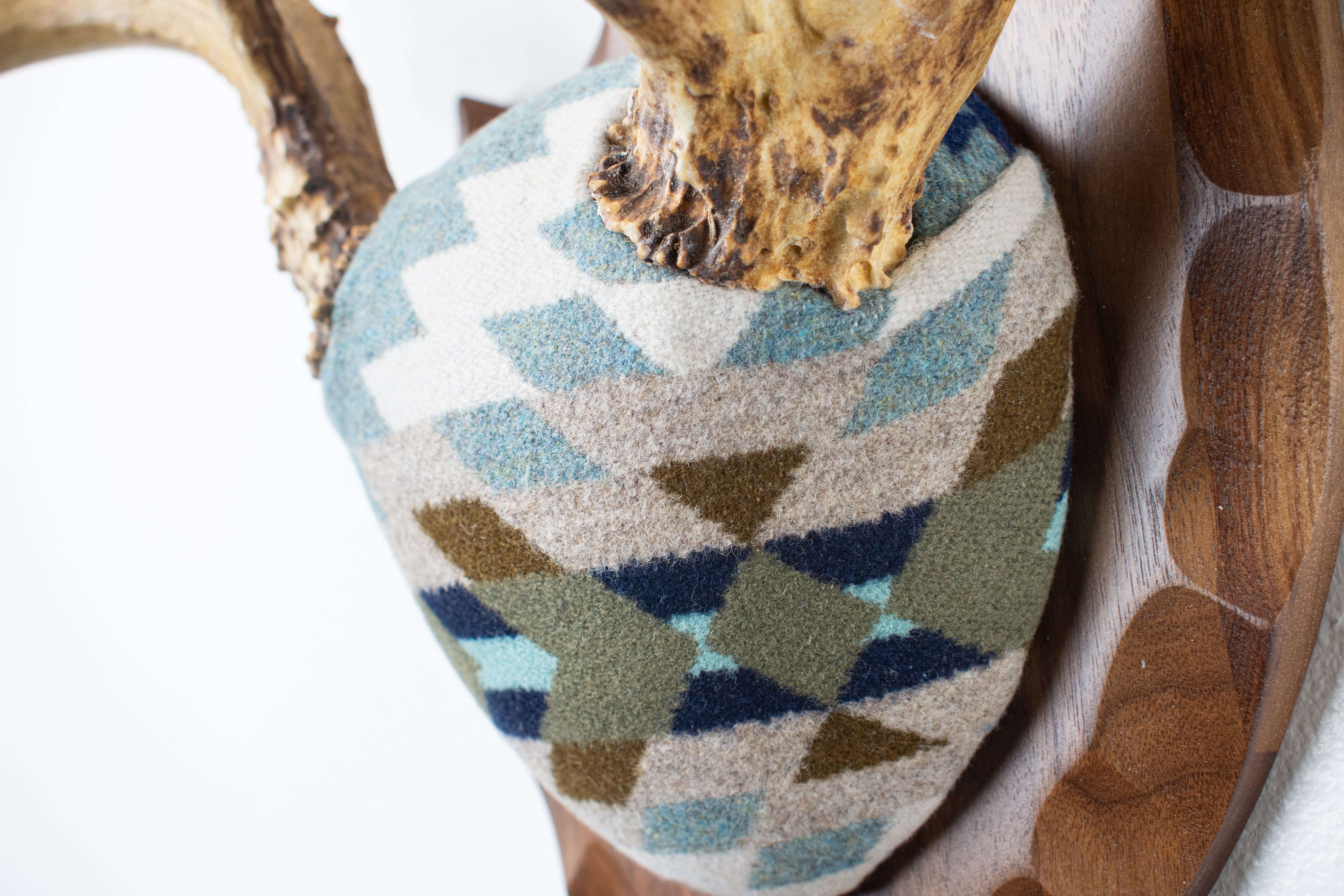 Mule Deer Antler Mount | Stone | 15