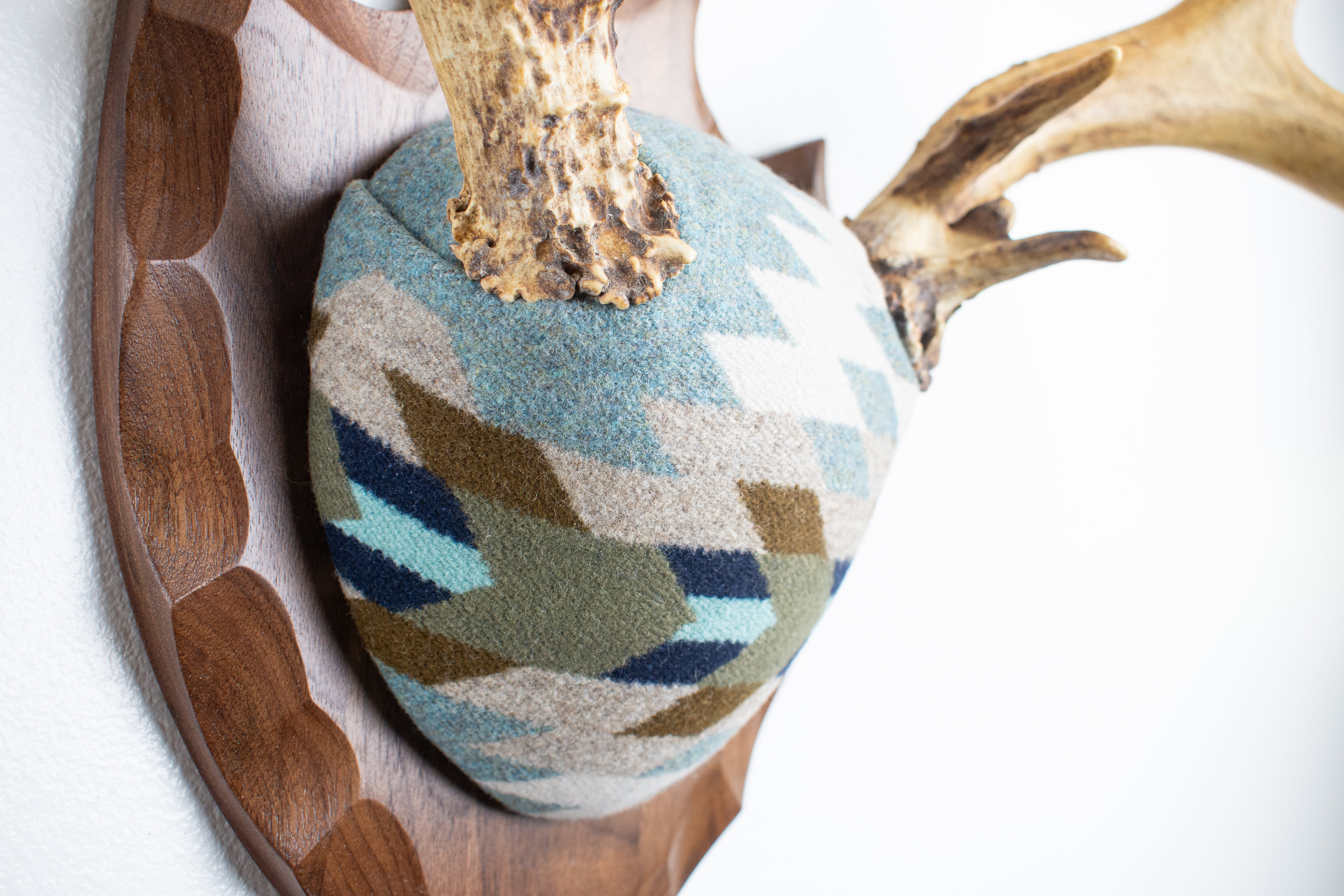 Mule Deer Antler Mount | Stone | 15