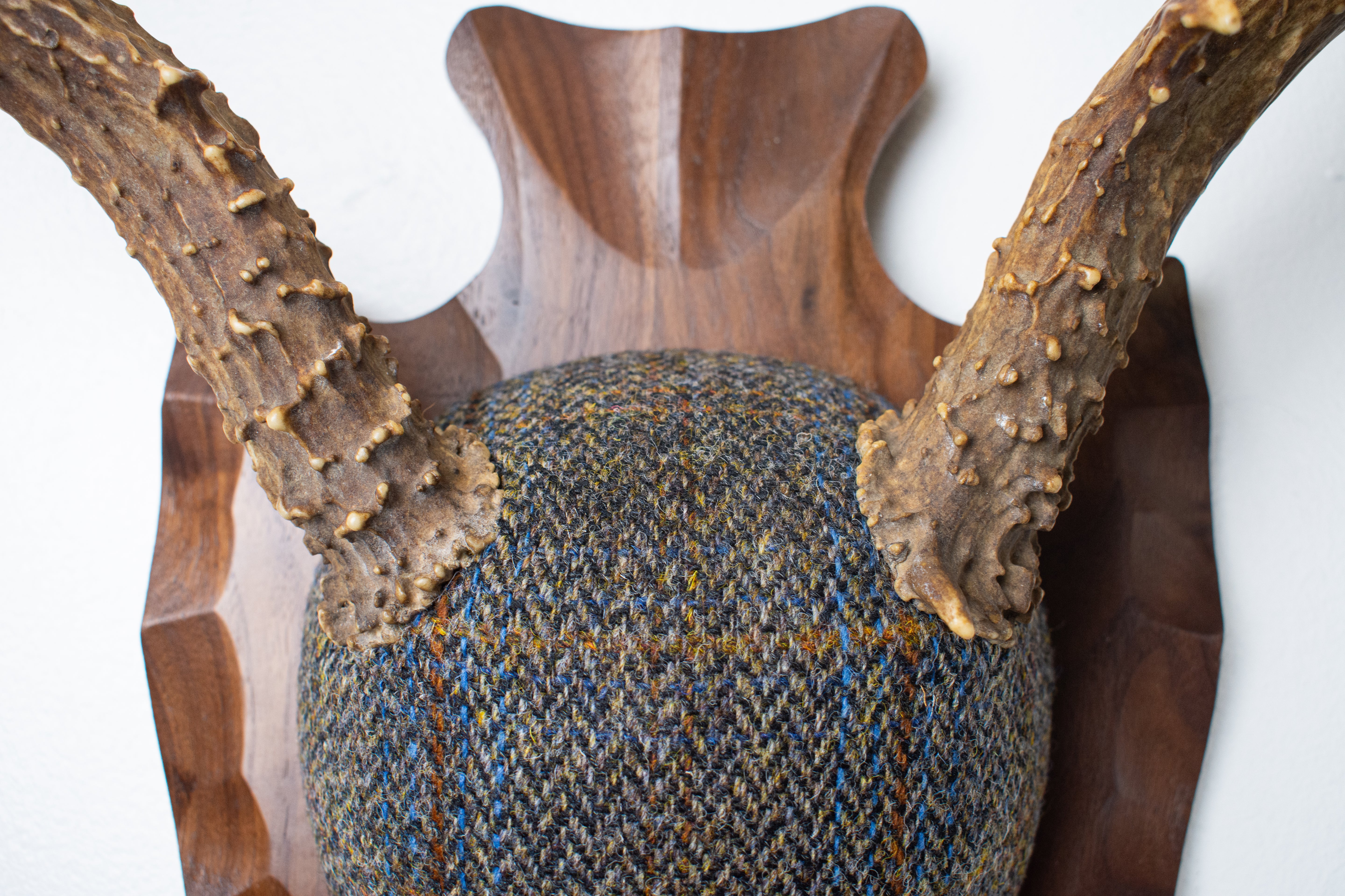 Mule Deer Antler Mount | Green and Blue Herringbone with Rust Overcheck | 36