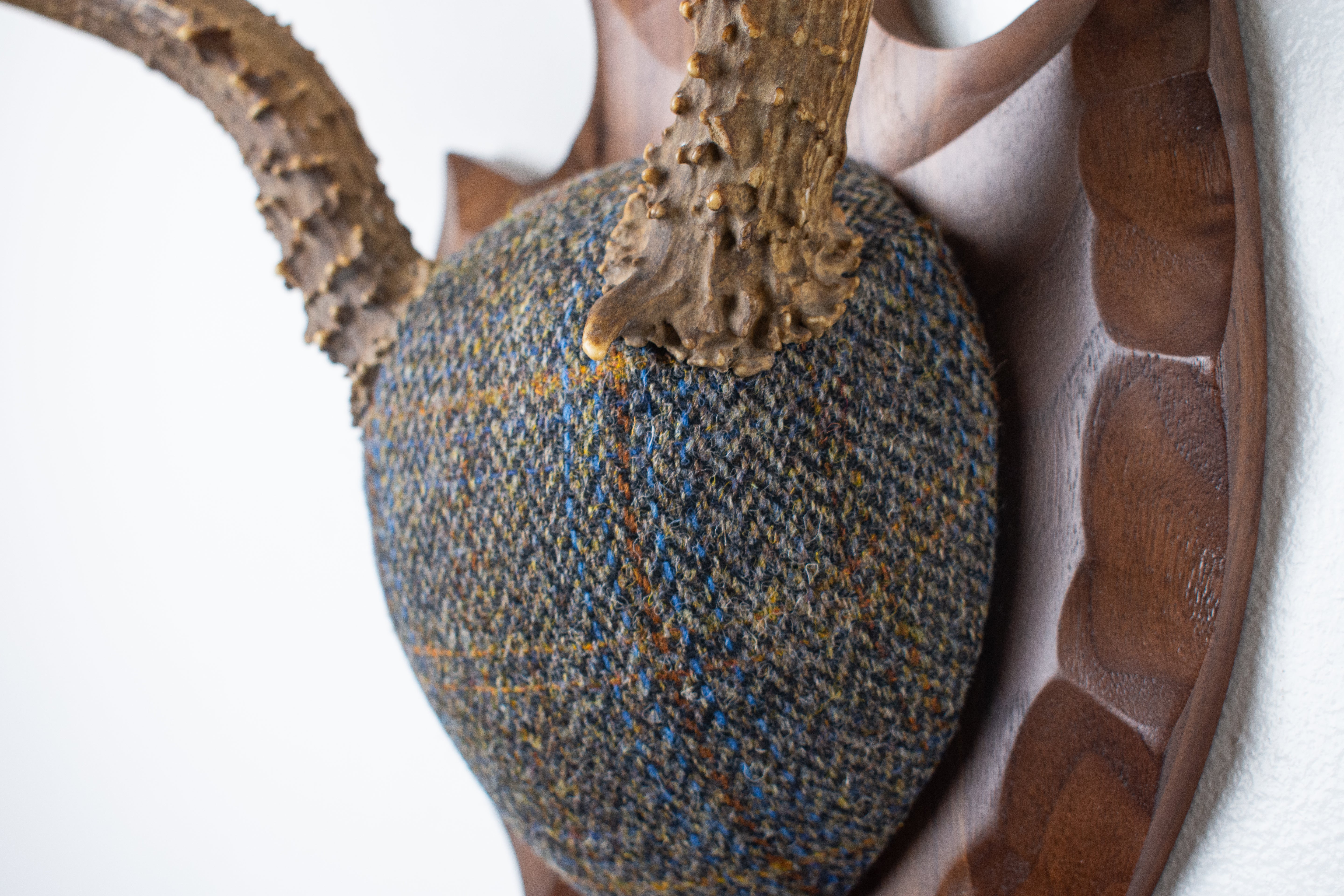 Mule Deer Antler Mount | Green and Blue Herringbone with Rust Overcheck | 36
