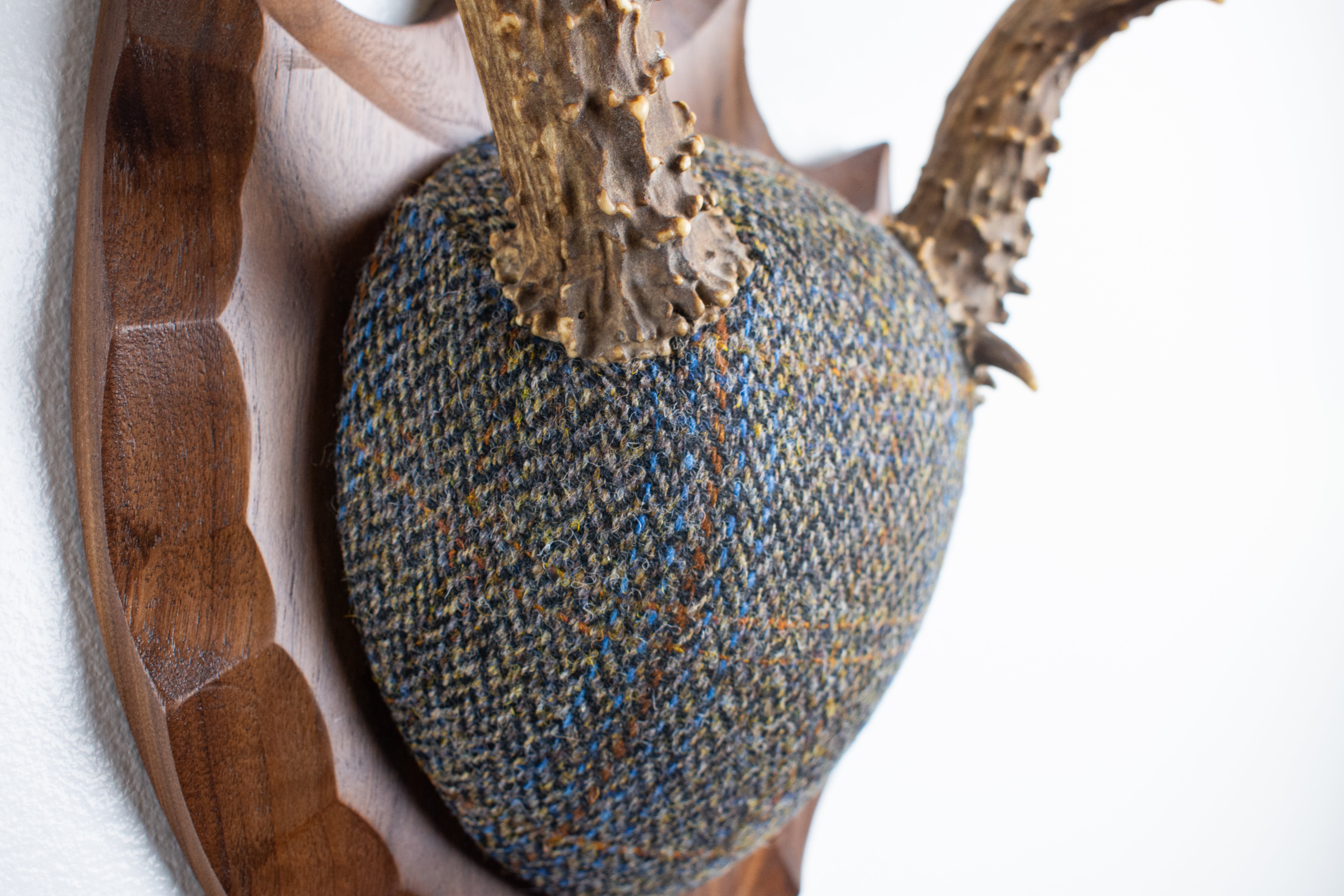 Mule Deer Antler Mount | Green and Blue Herringbone with Rust Overcheck | 36