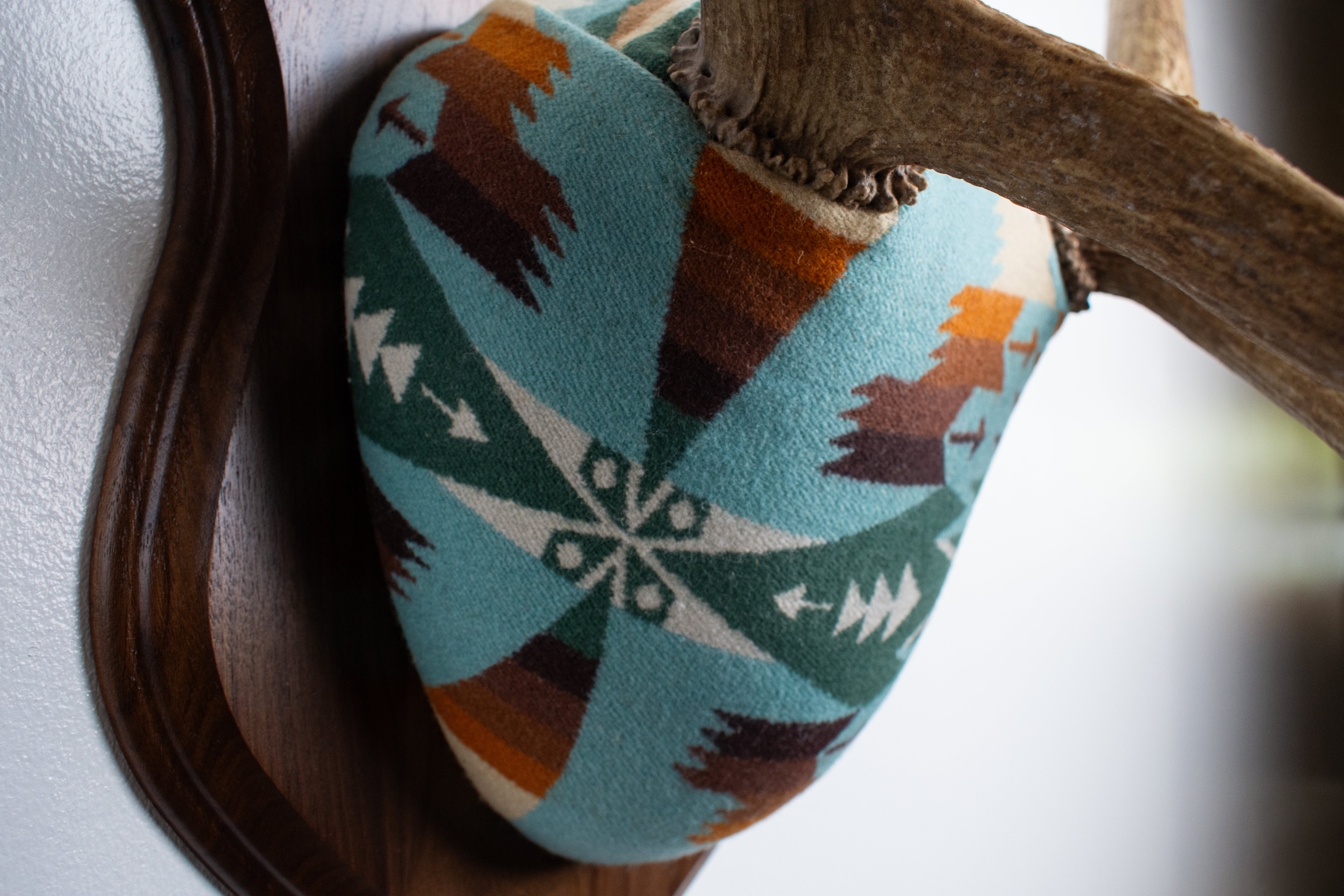 Elk Antler Mount | Juniper | 16