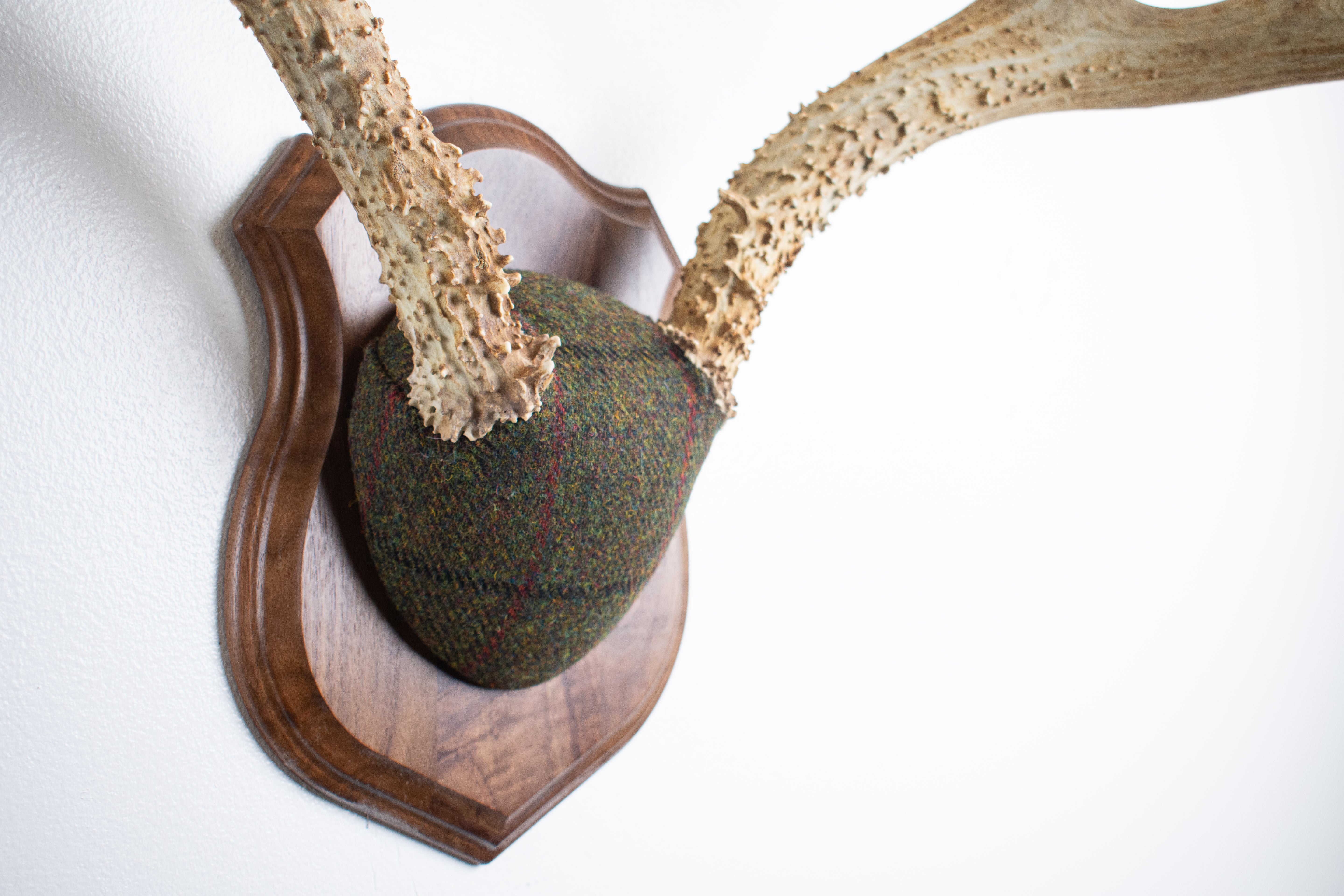Mule Deer Antler Mount | Green mix with Black and Red Overcheck | 39