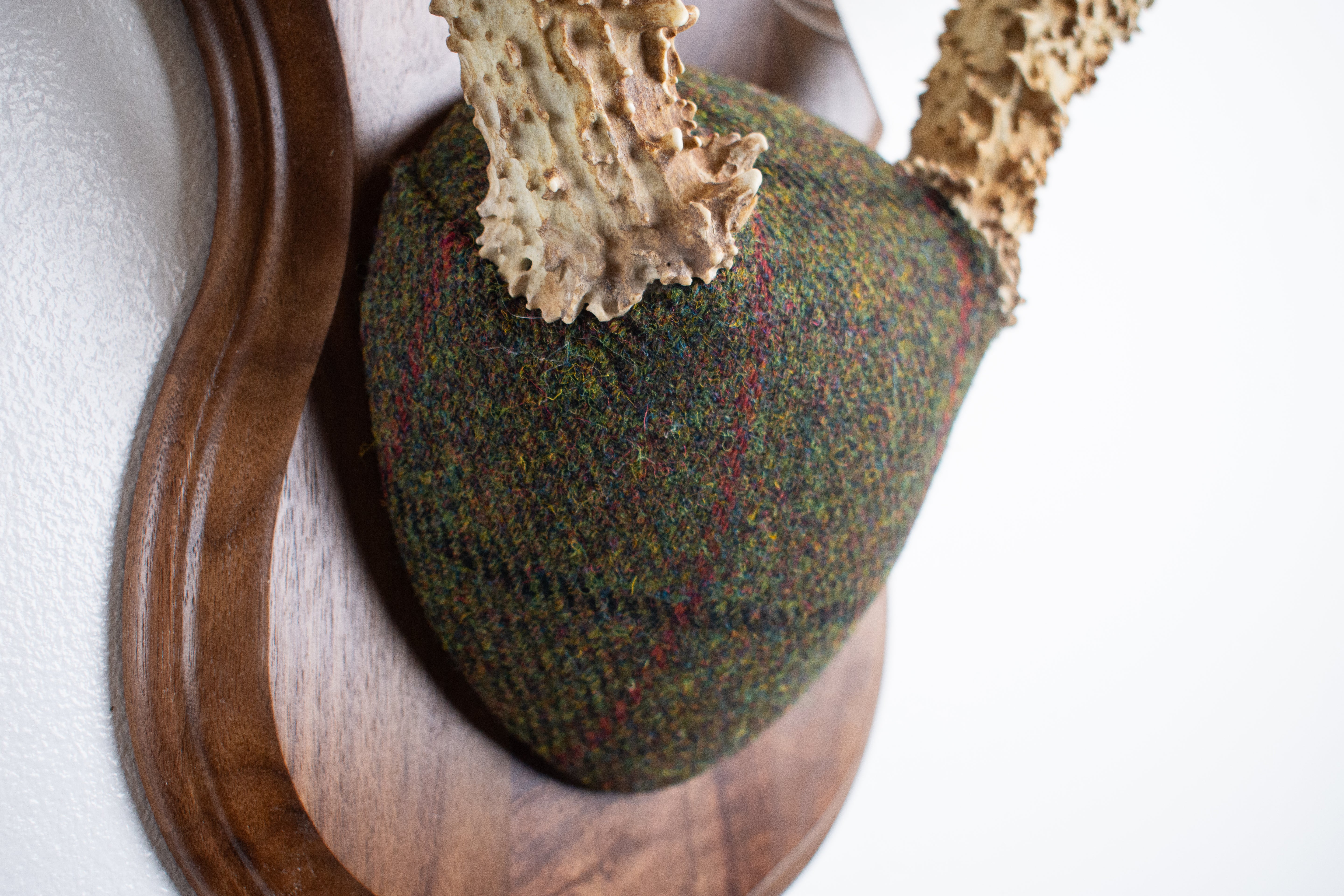 Mule Deer Antler Mount | Green mix with Black and Red Overcheck | 39