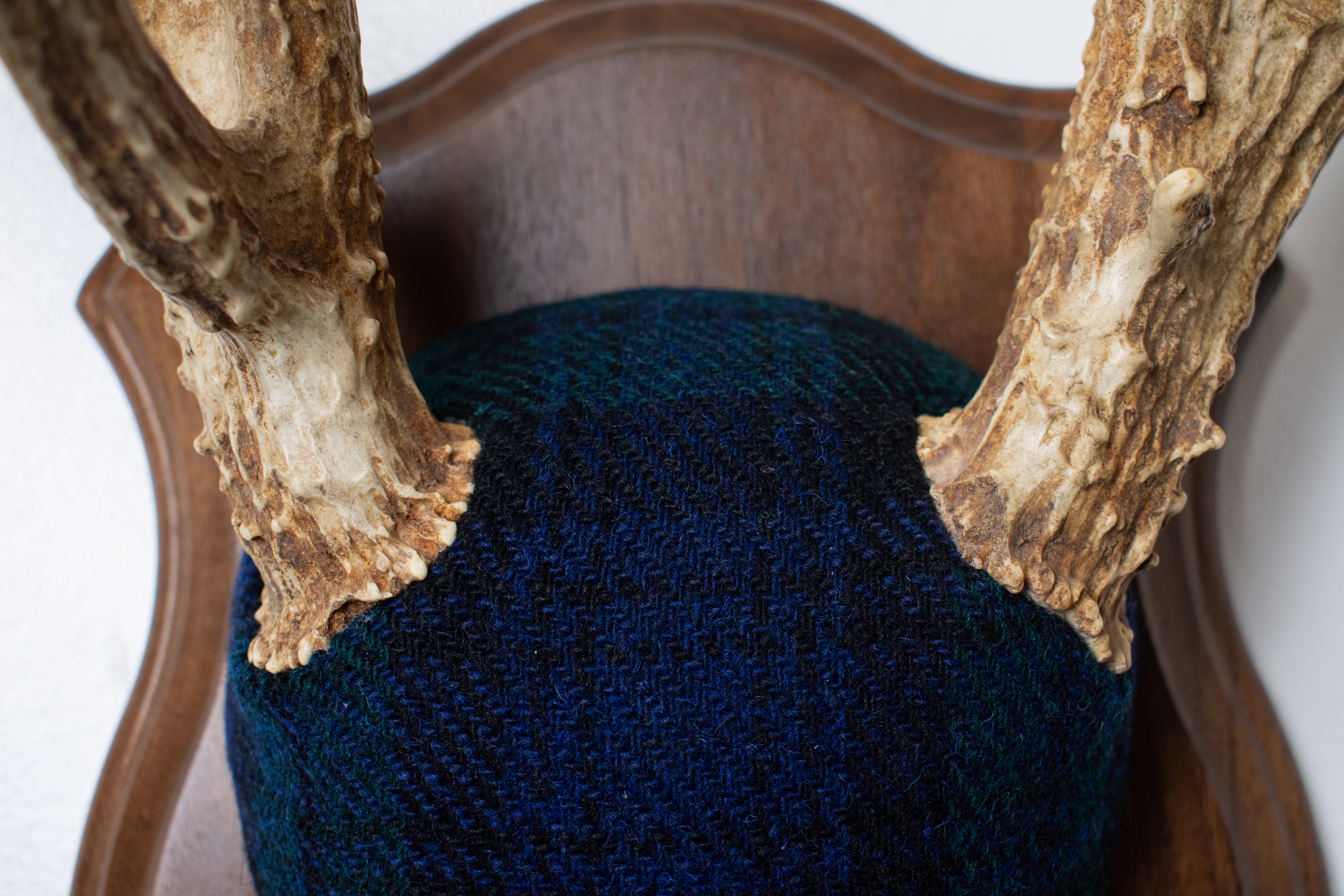 Whitetail Deer Antler Mount | Black Watch Tartan | 40