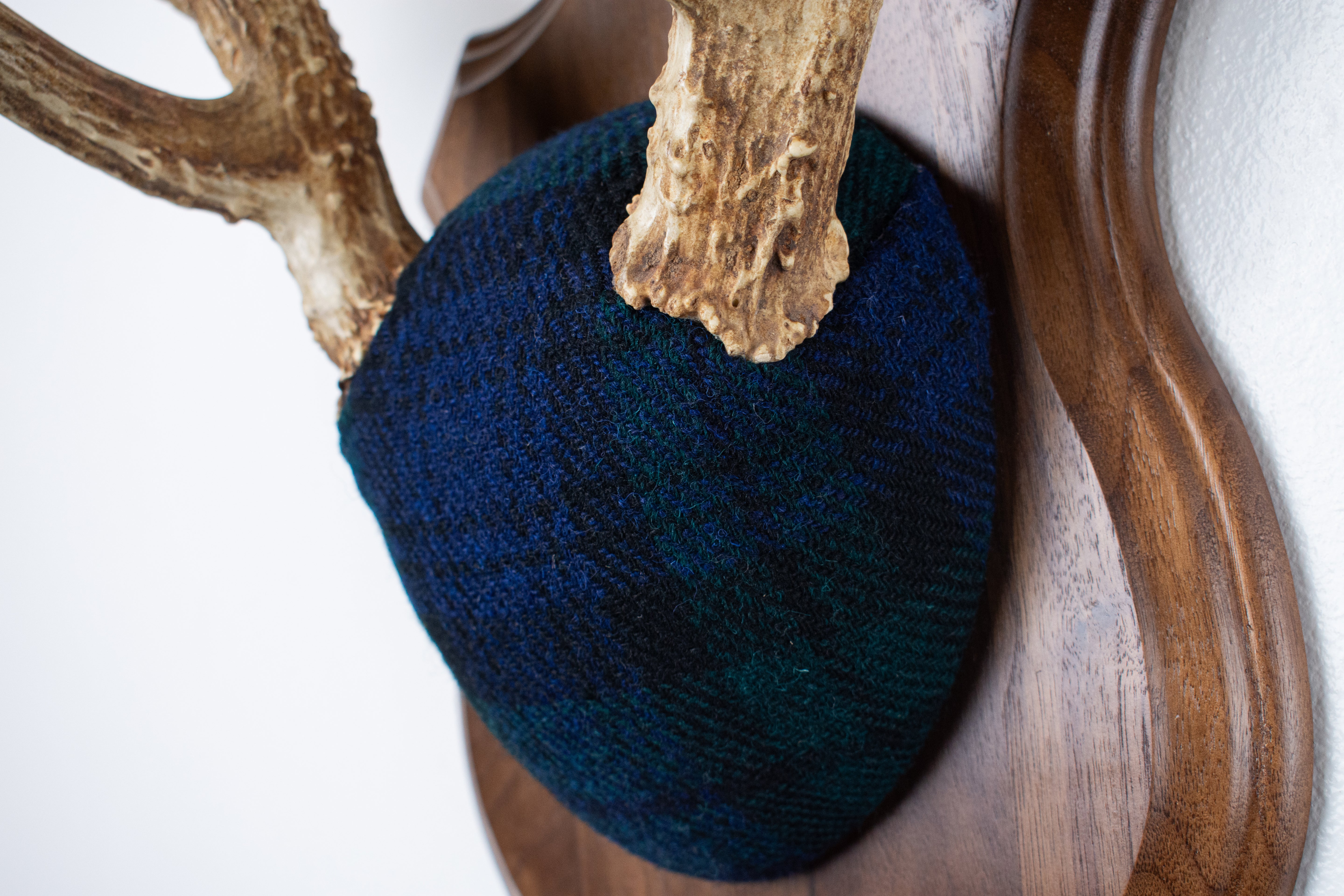 Whitetail Deer Antler Mount | Black Watch Tartan | 40