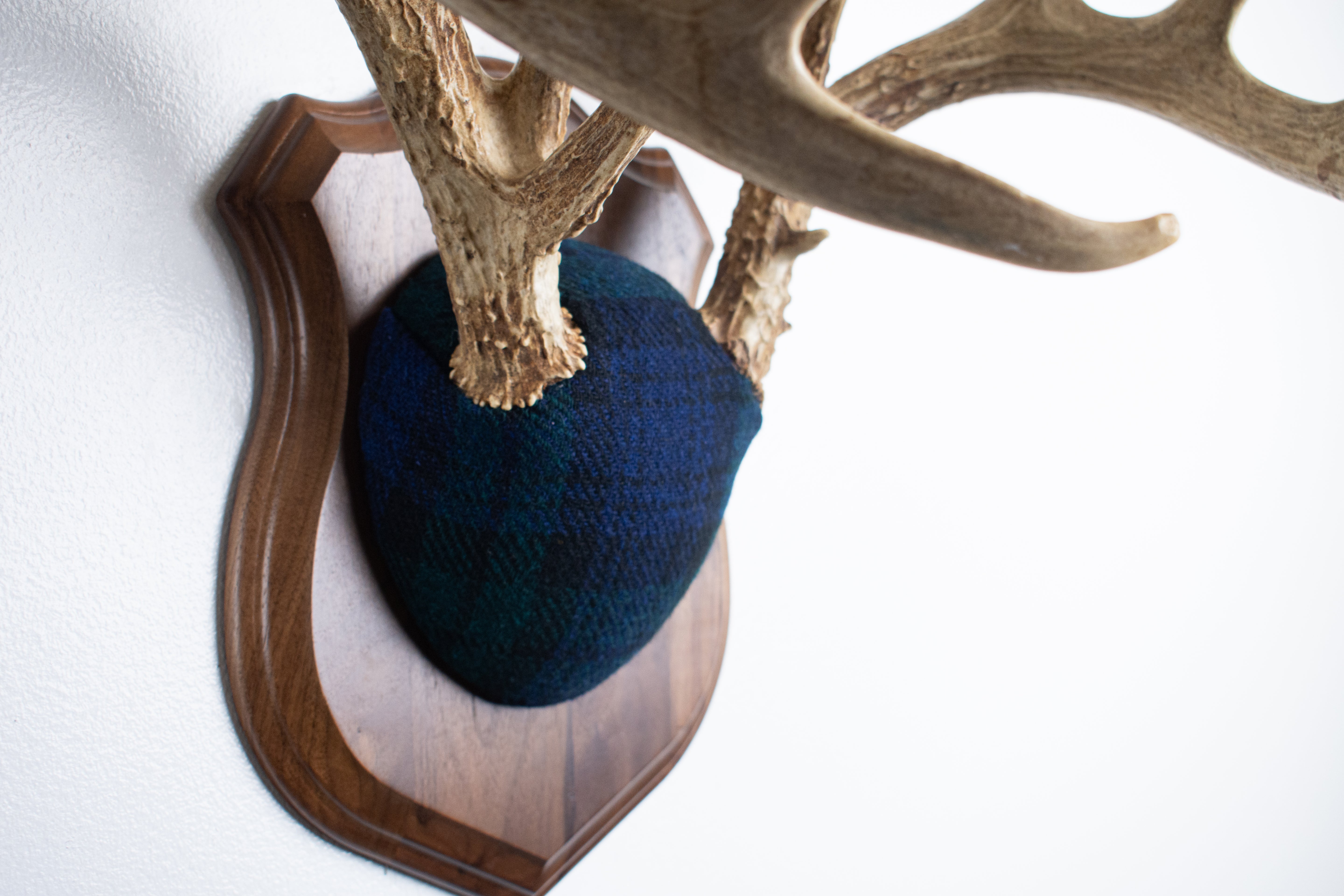 Whitetail Deer Antler Mount | Black Watch Tartan | 40